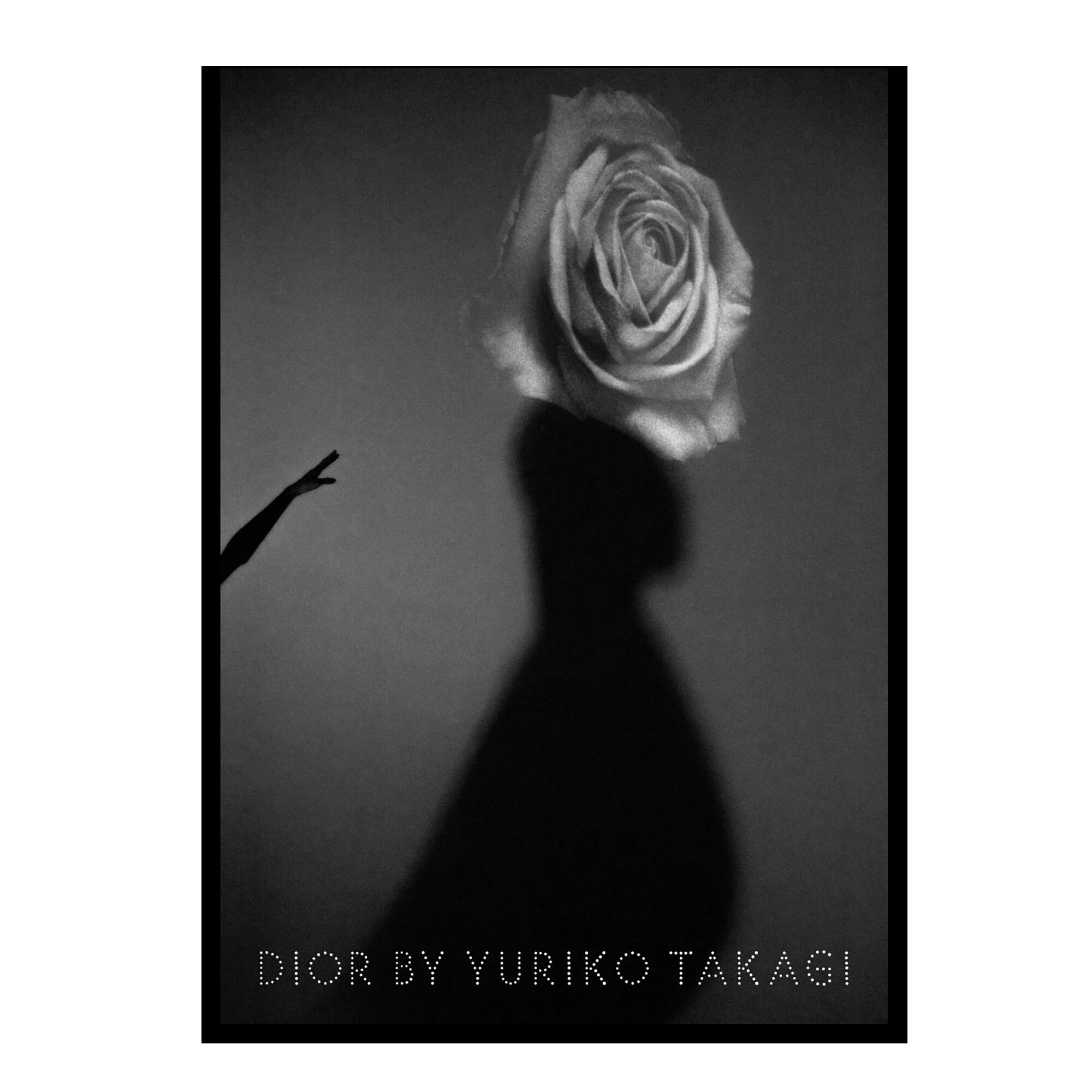 Dior by Yuriko Takagi