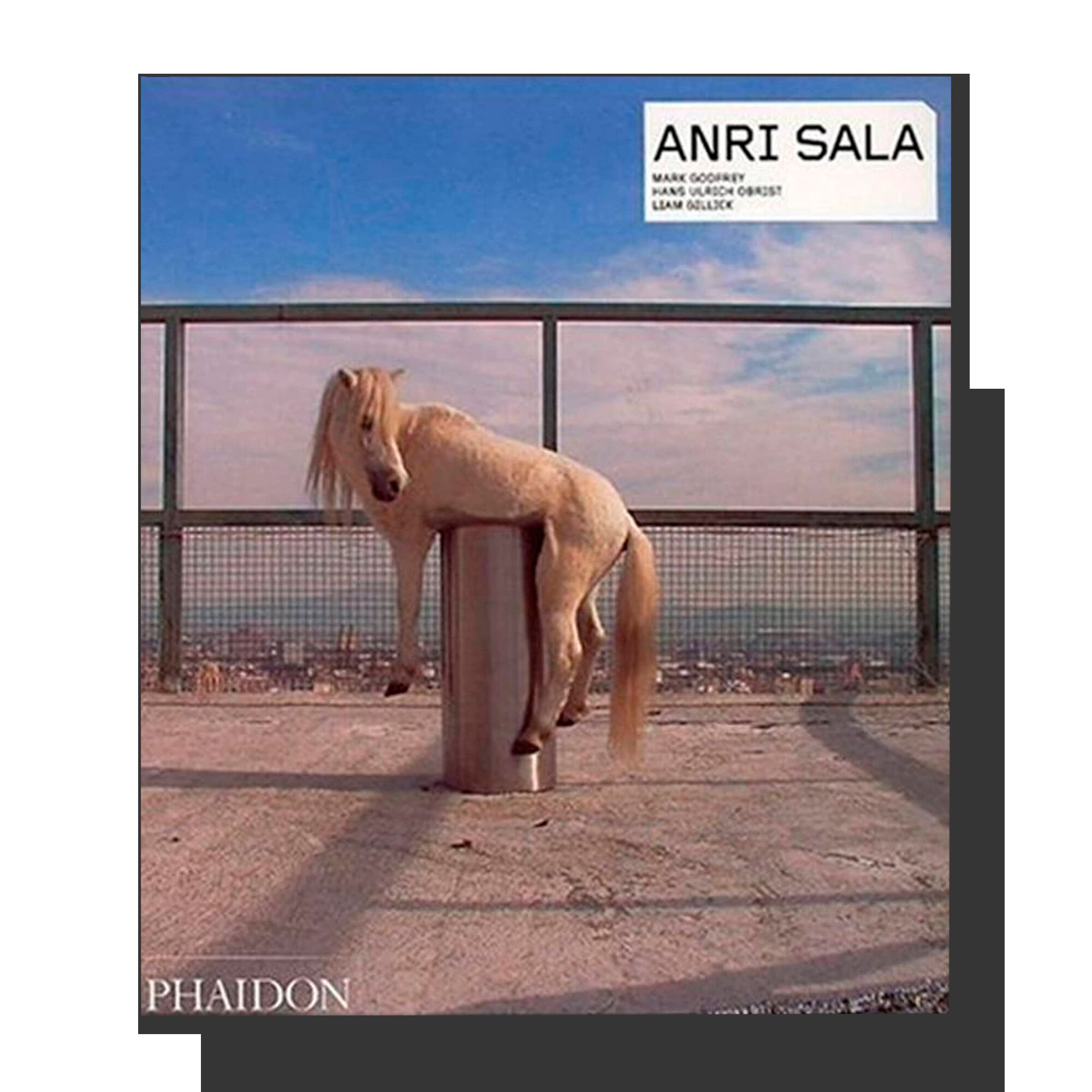 Anri Sala: Contemporary Artists Series