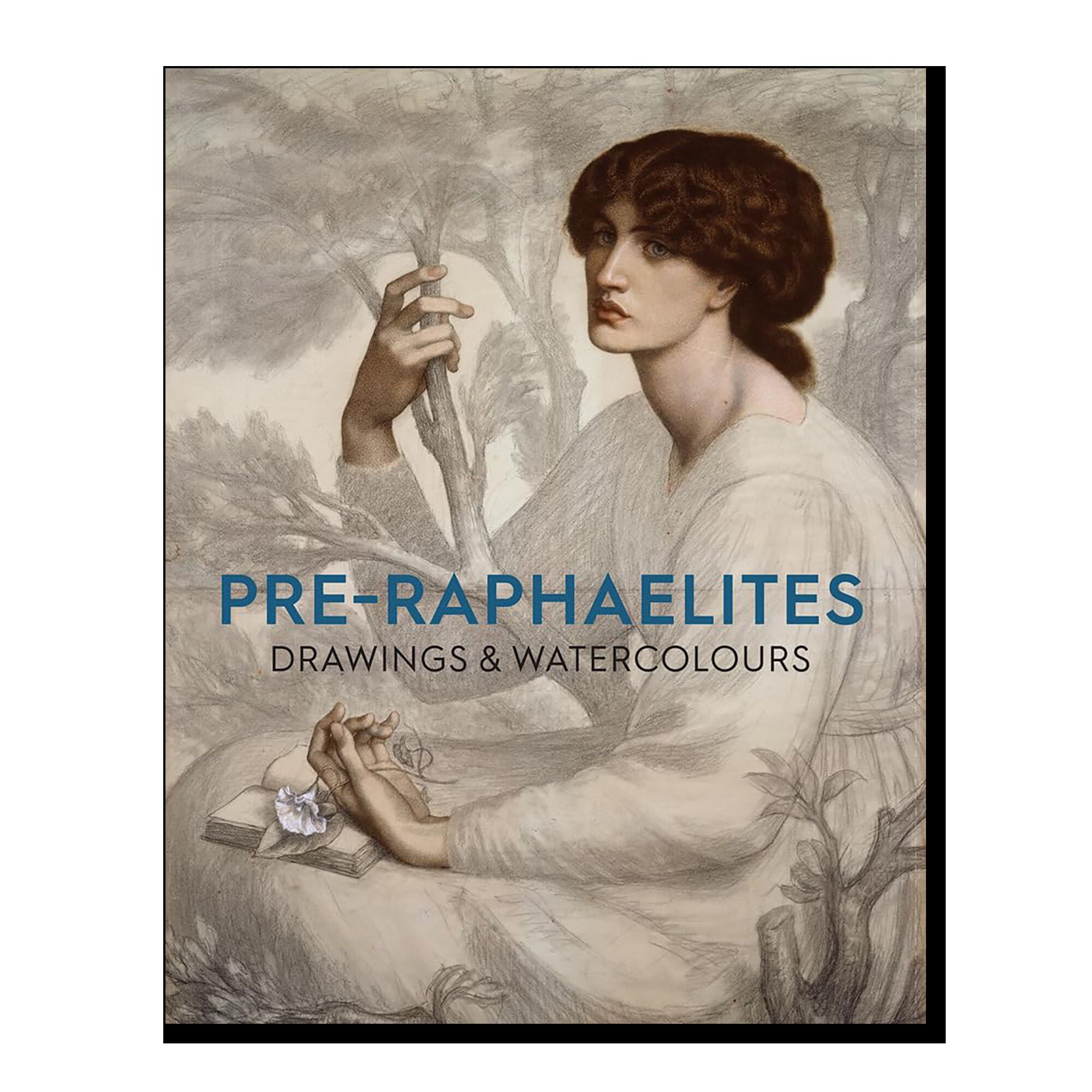 Pre-Raphaelite Drawings and Watercolours