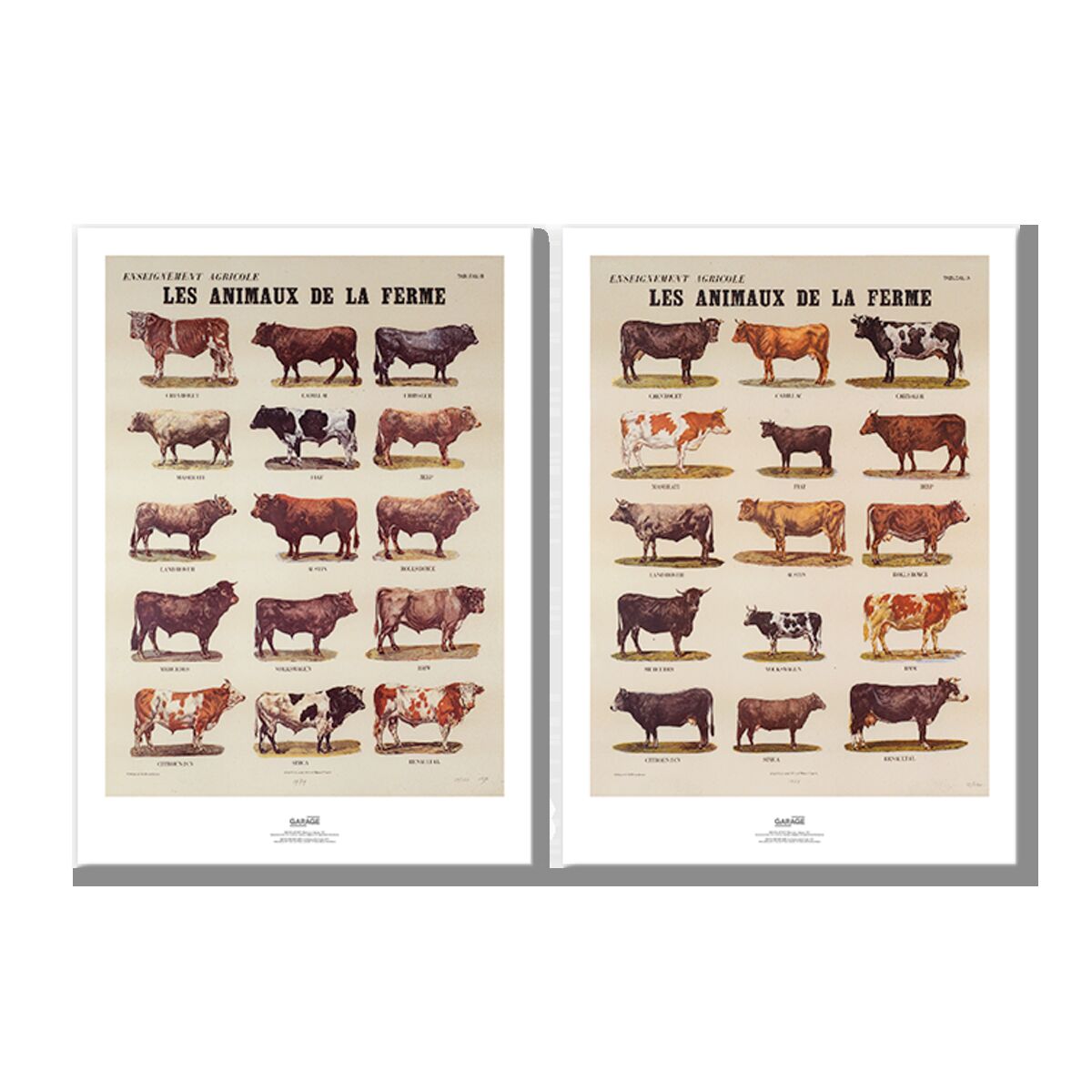 Постер «Животные с фермы», Марсель Бротарс