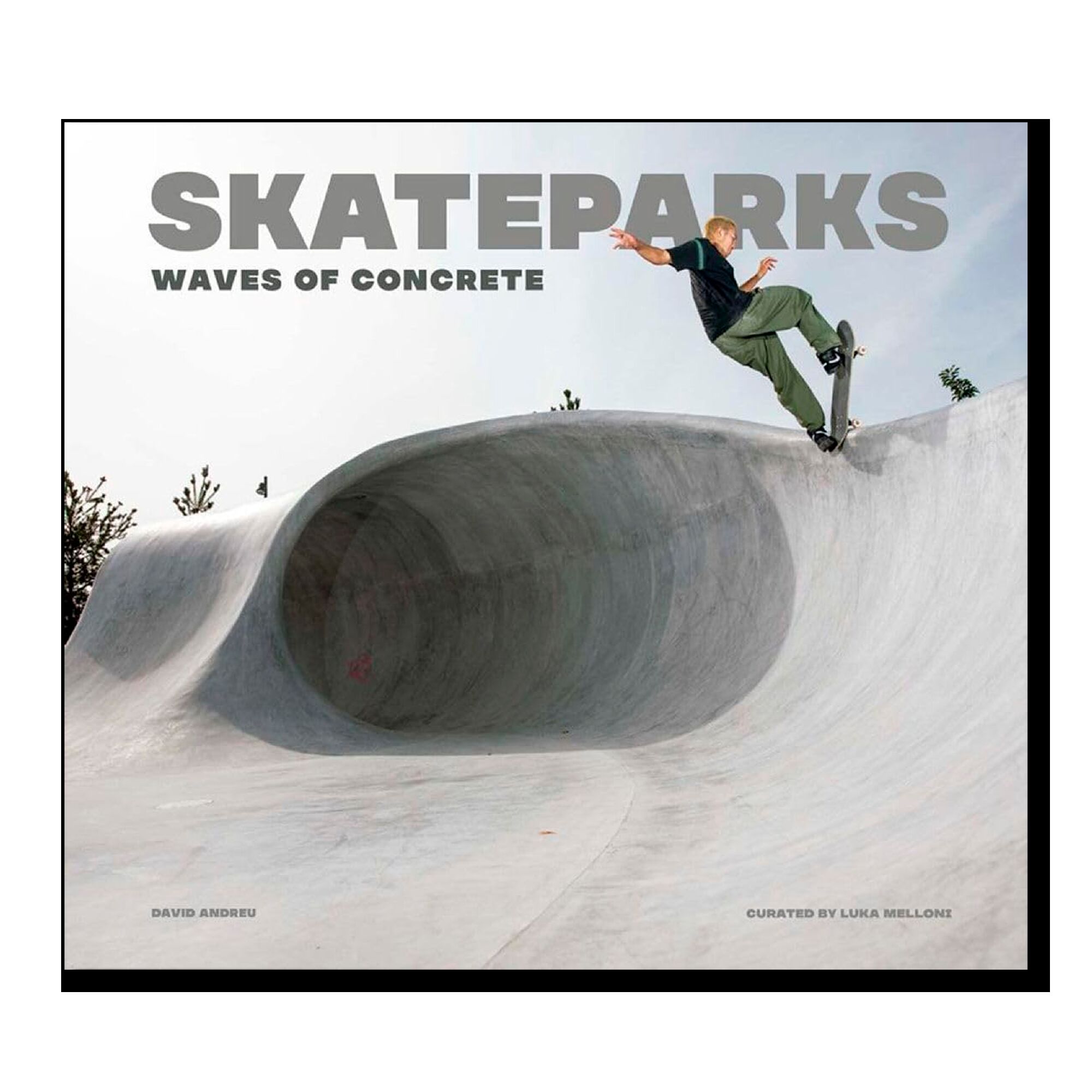 Skateparks: Architecture on the Edge of Paradise