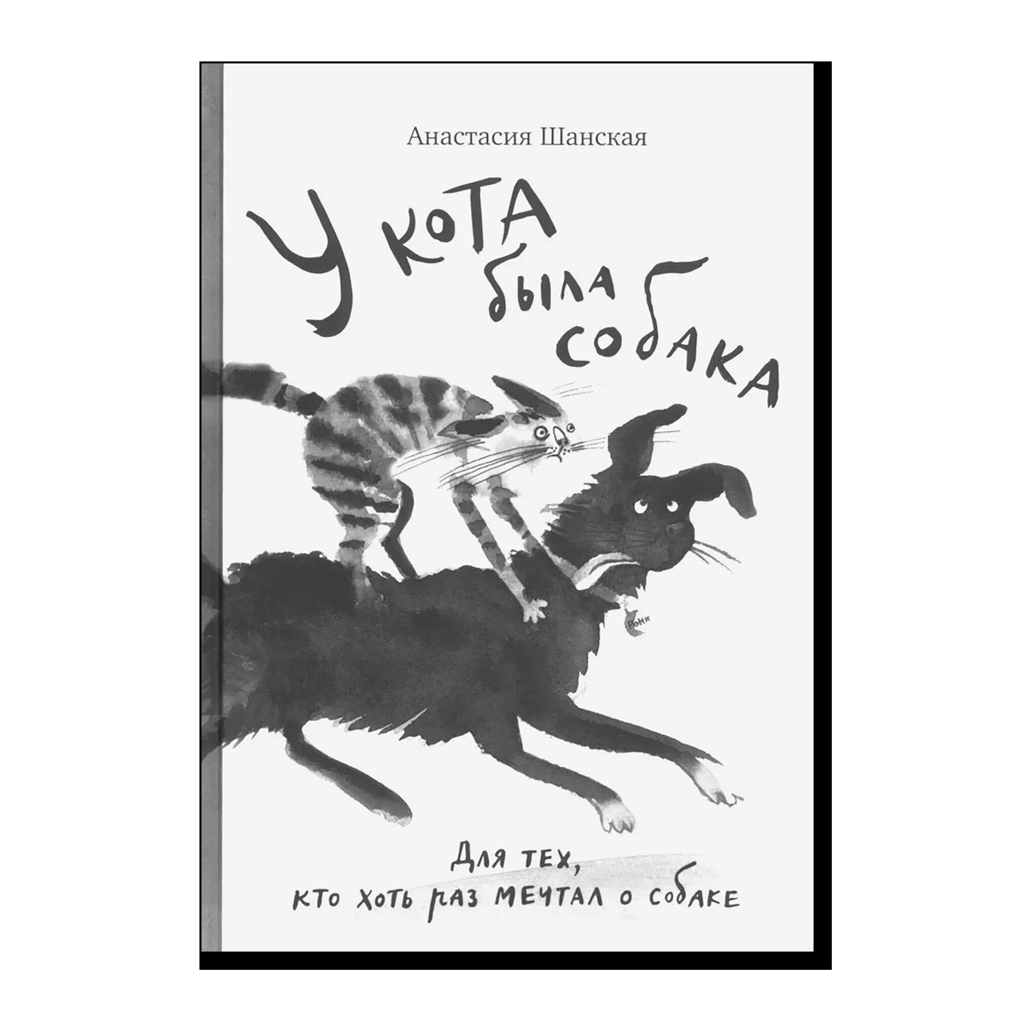 У кота была собака