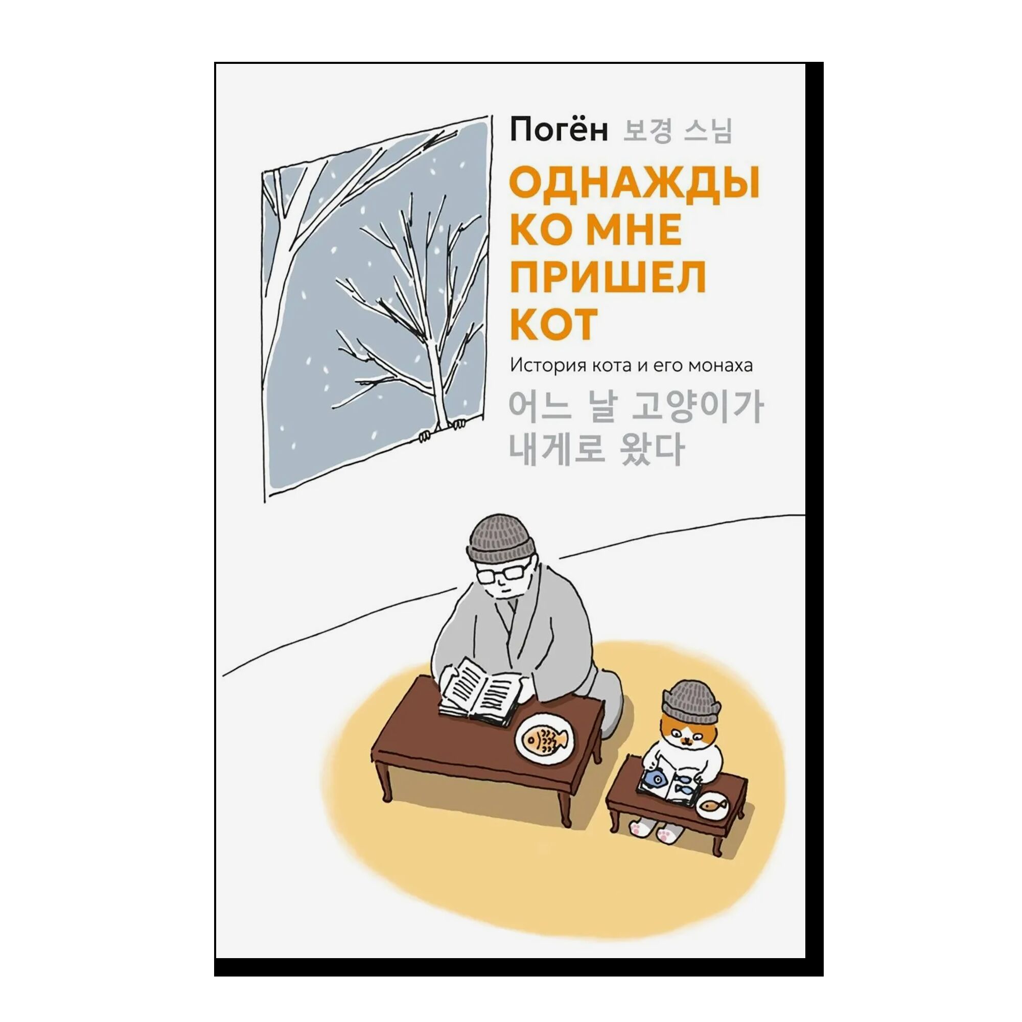 Однажды ко мне пришел кот