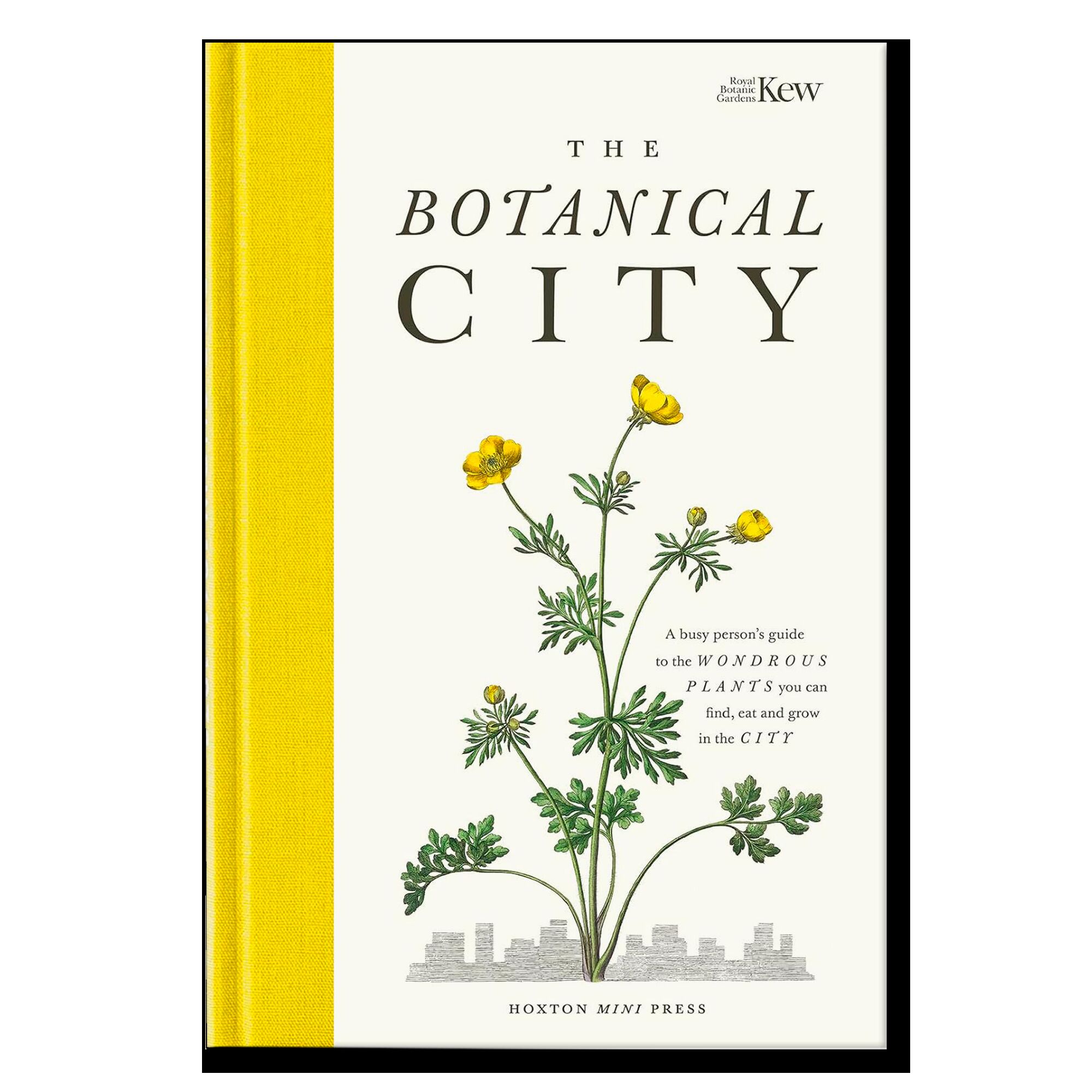 The Botanical City: A busy person's guide to the wondrous plants to find, eat and grow in the city