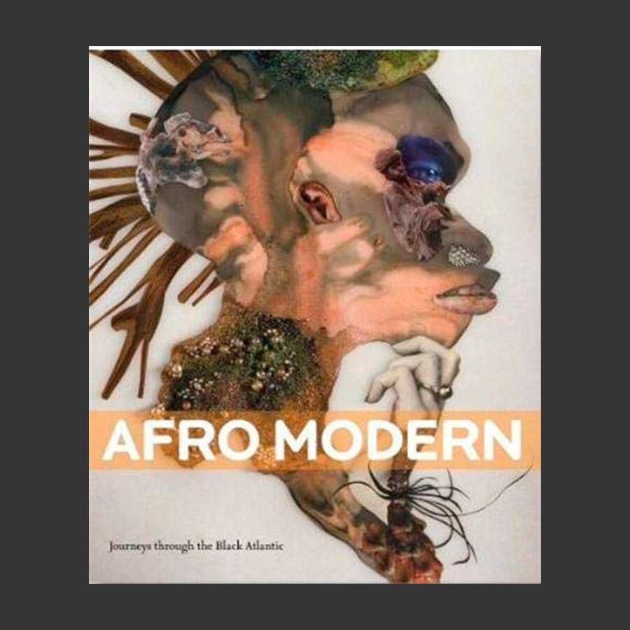 Afro-Modern: Journeys Through the Black Atlantic