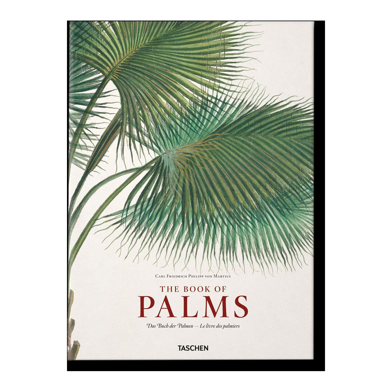 The Book of Palm