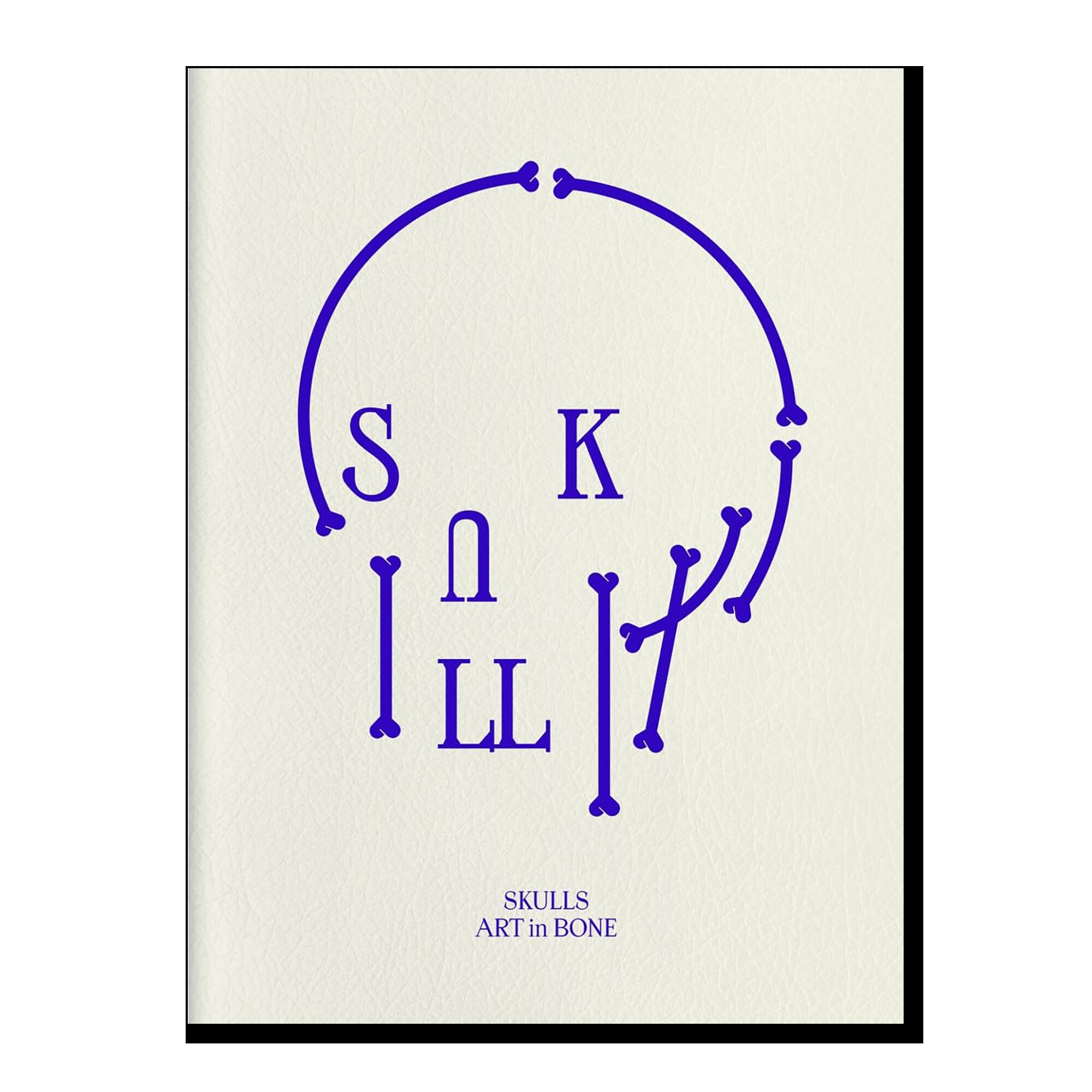 Skulls: Art In Bone