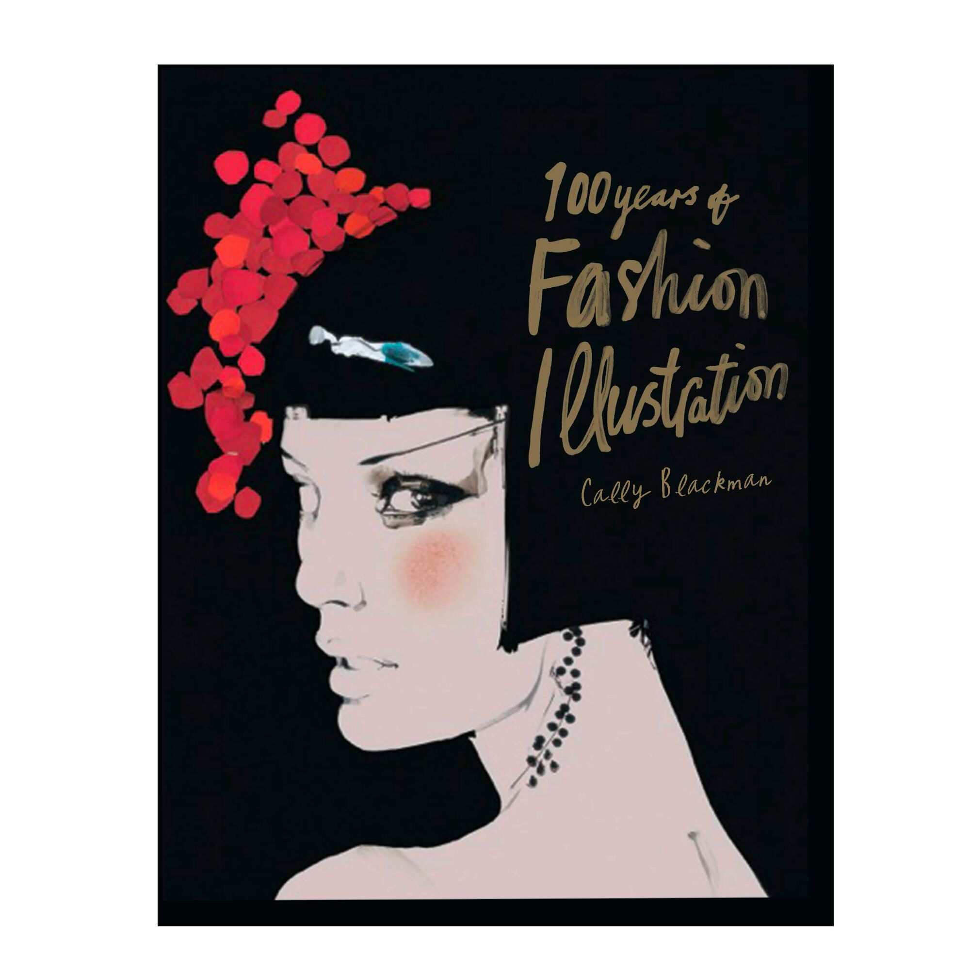 100 Years of Fashion Illustration (Pocket editions)