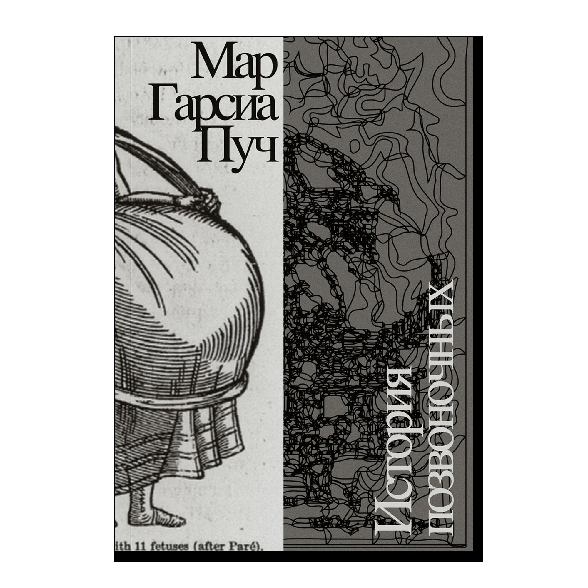 История позвоночных