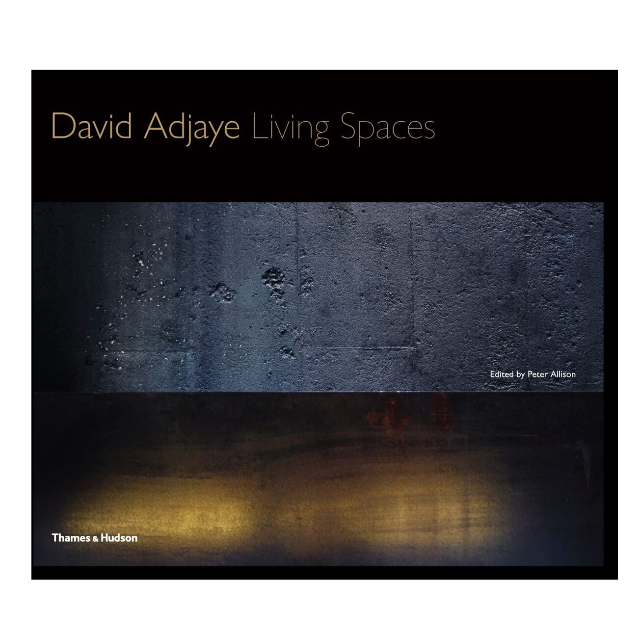 David Adjaye: Living Spaces