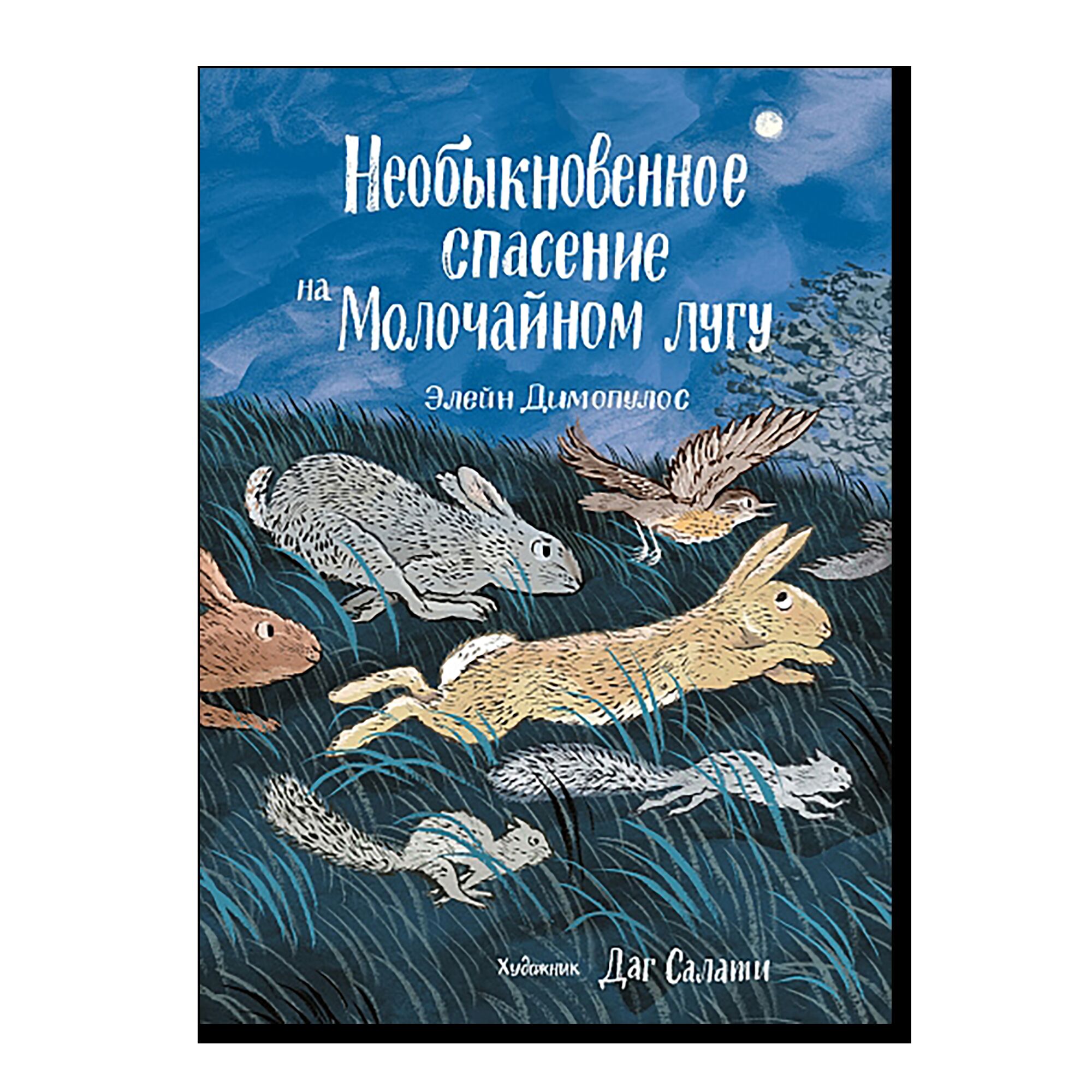Необыкновенное спасение на Молочайном лугу