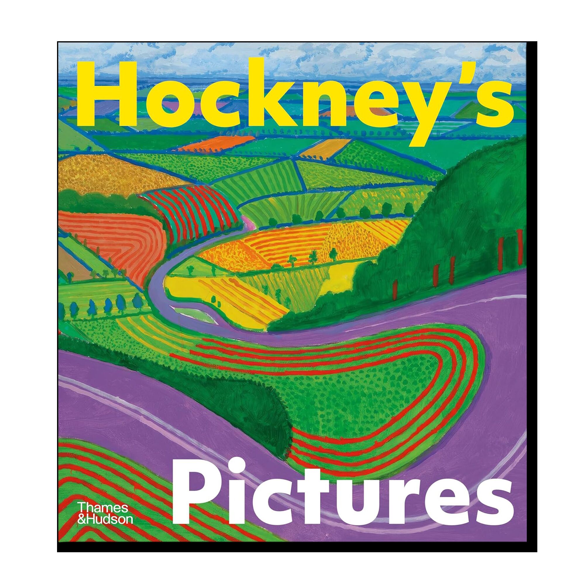 Hockney's Pictures