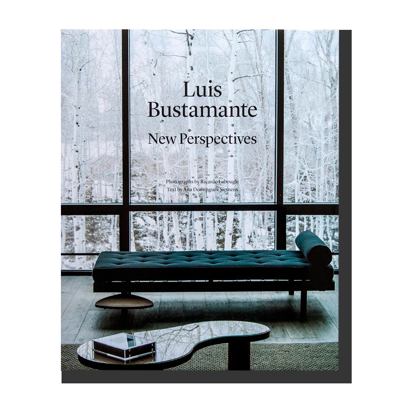 Luis Bustamante: New Perspectives