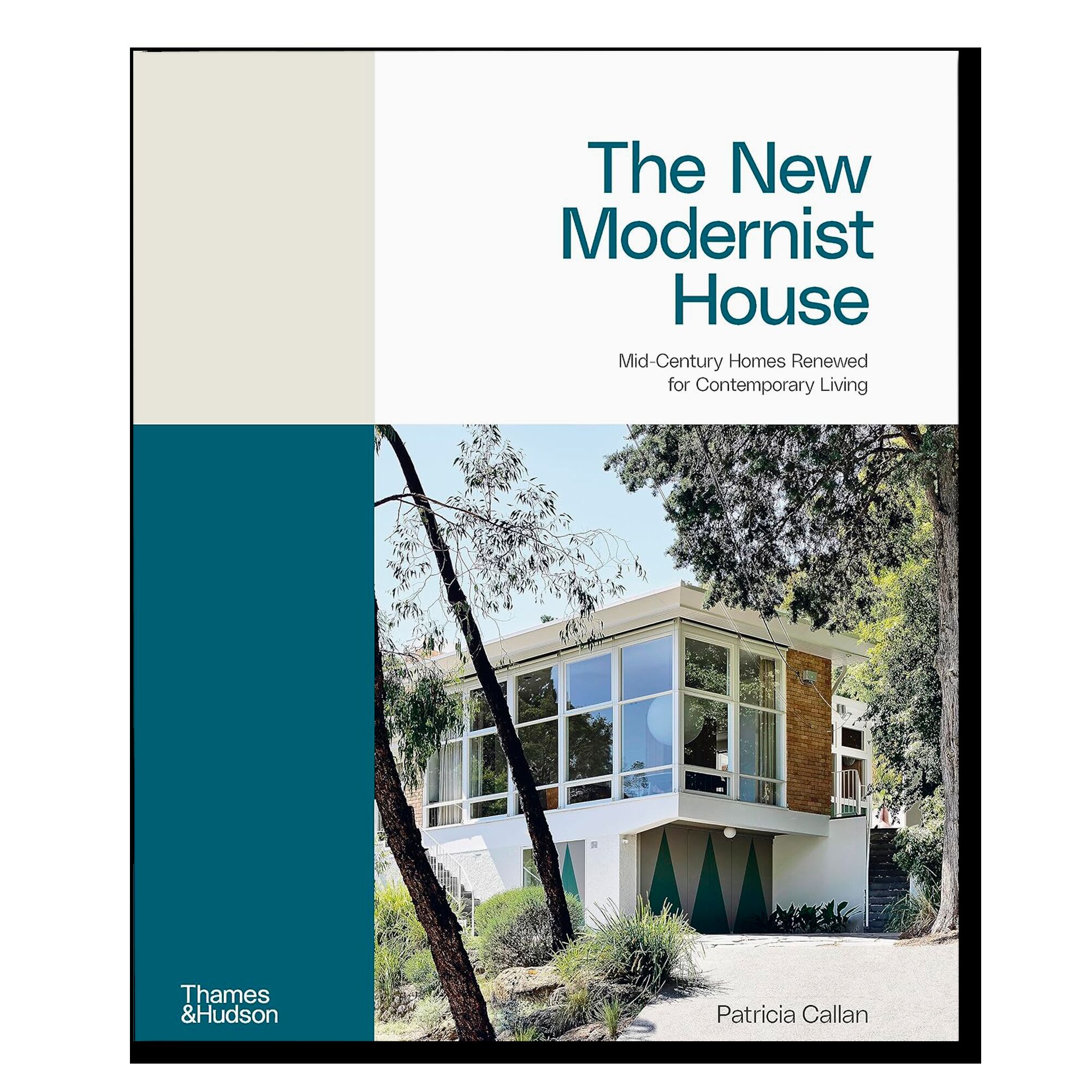 The New Modernist House