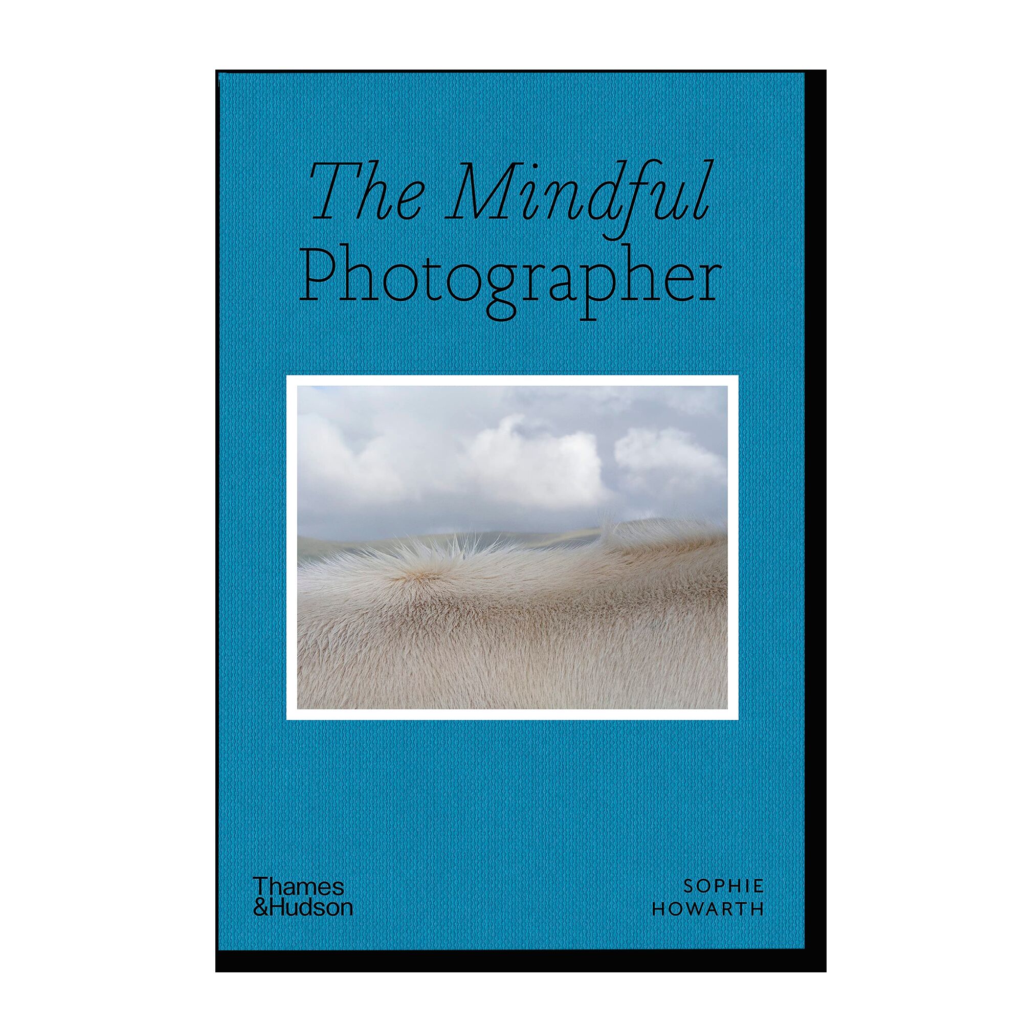 The Mindful Photographer