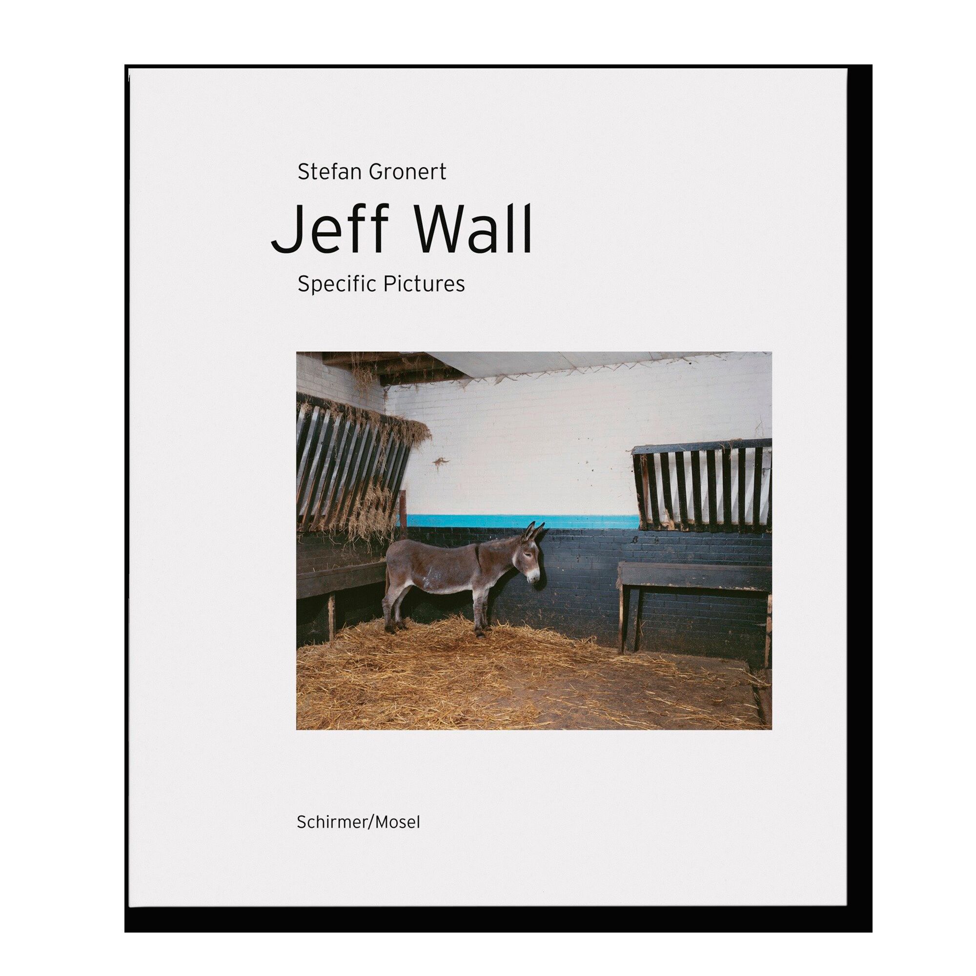 Jeff Wall: Specific Pictures