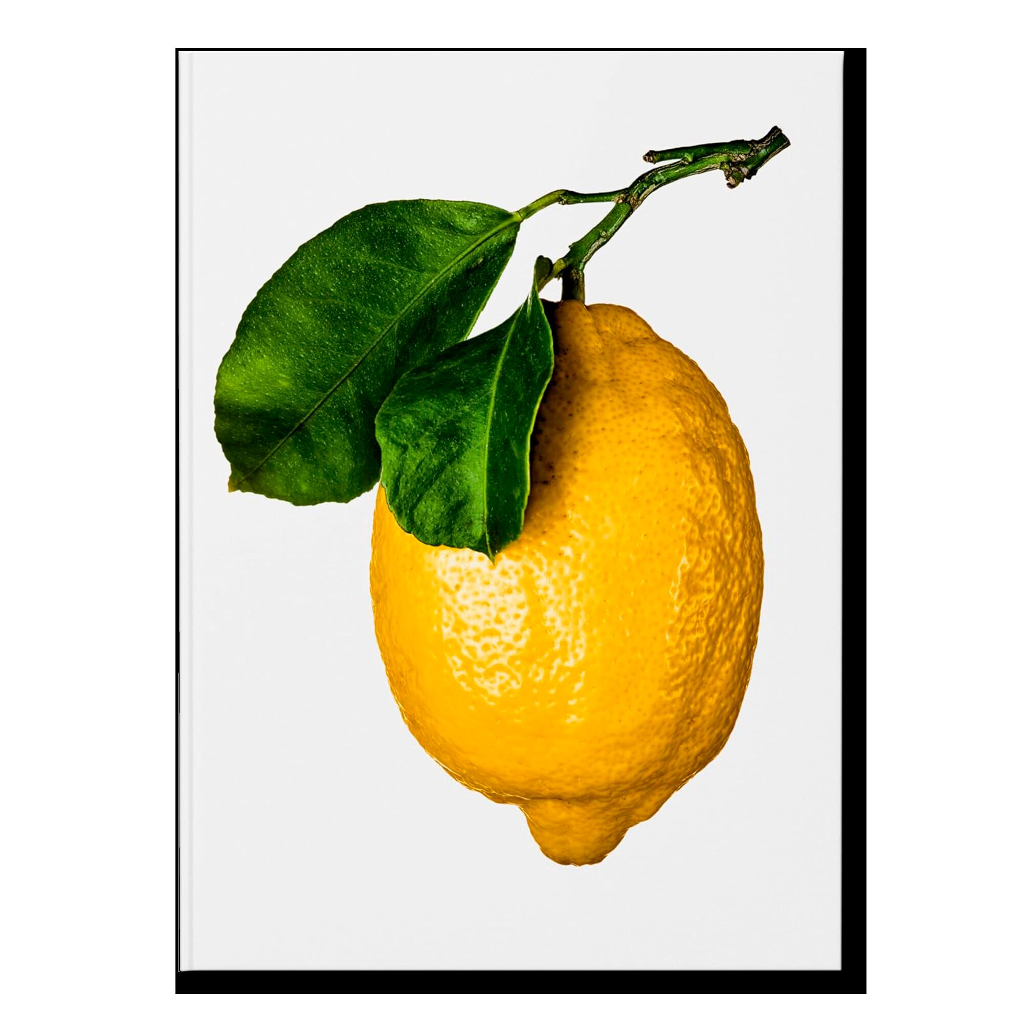 The Gourmand's Lemon