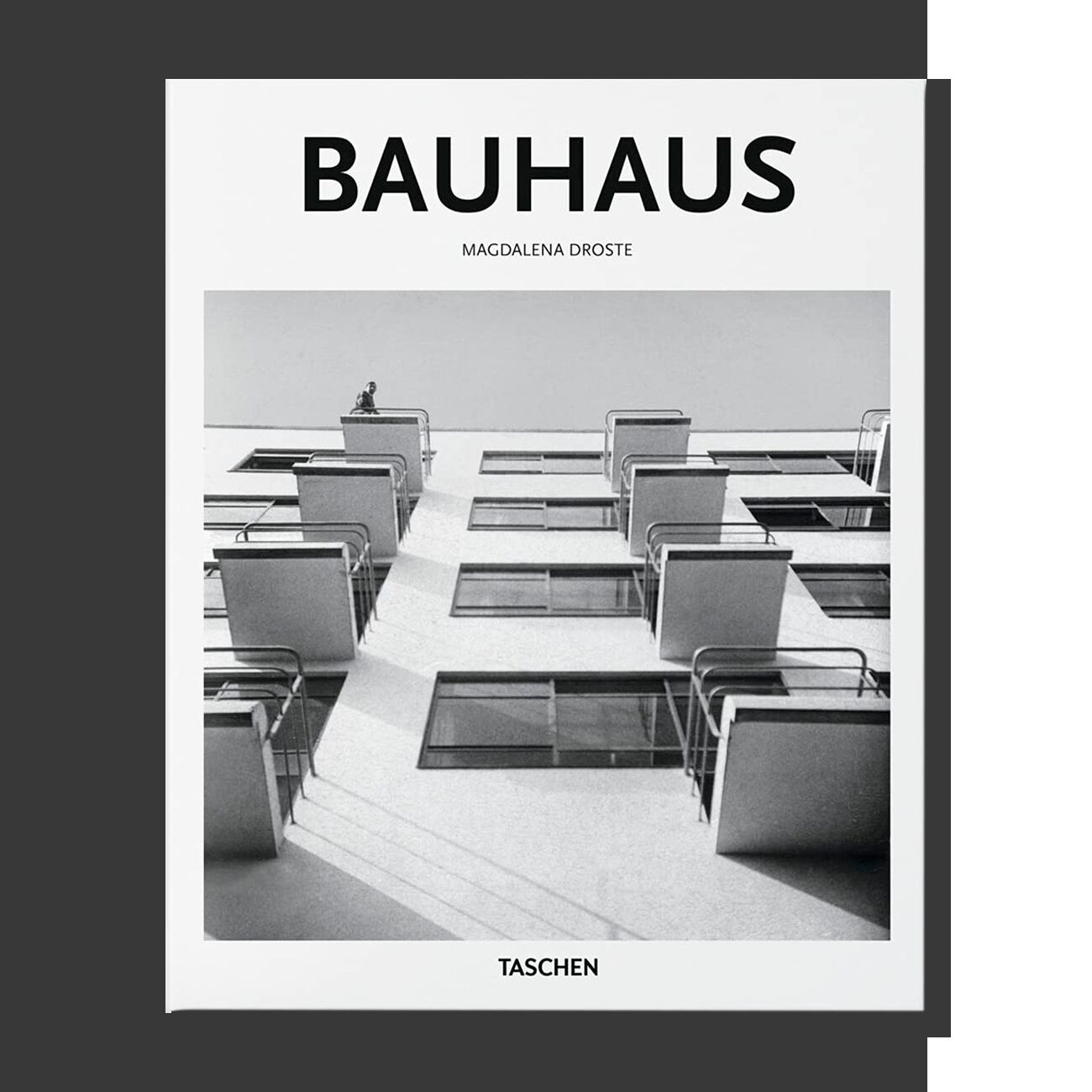 Bauhaus (Basic Art Series)