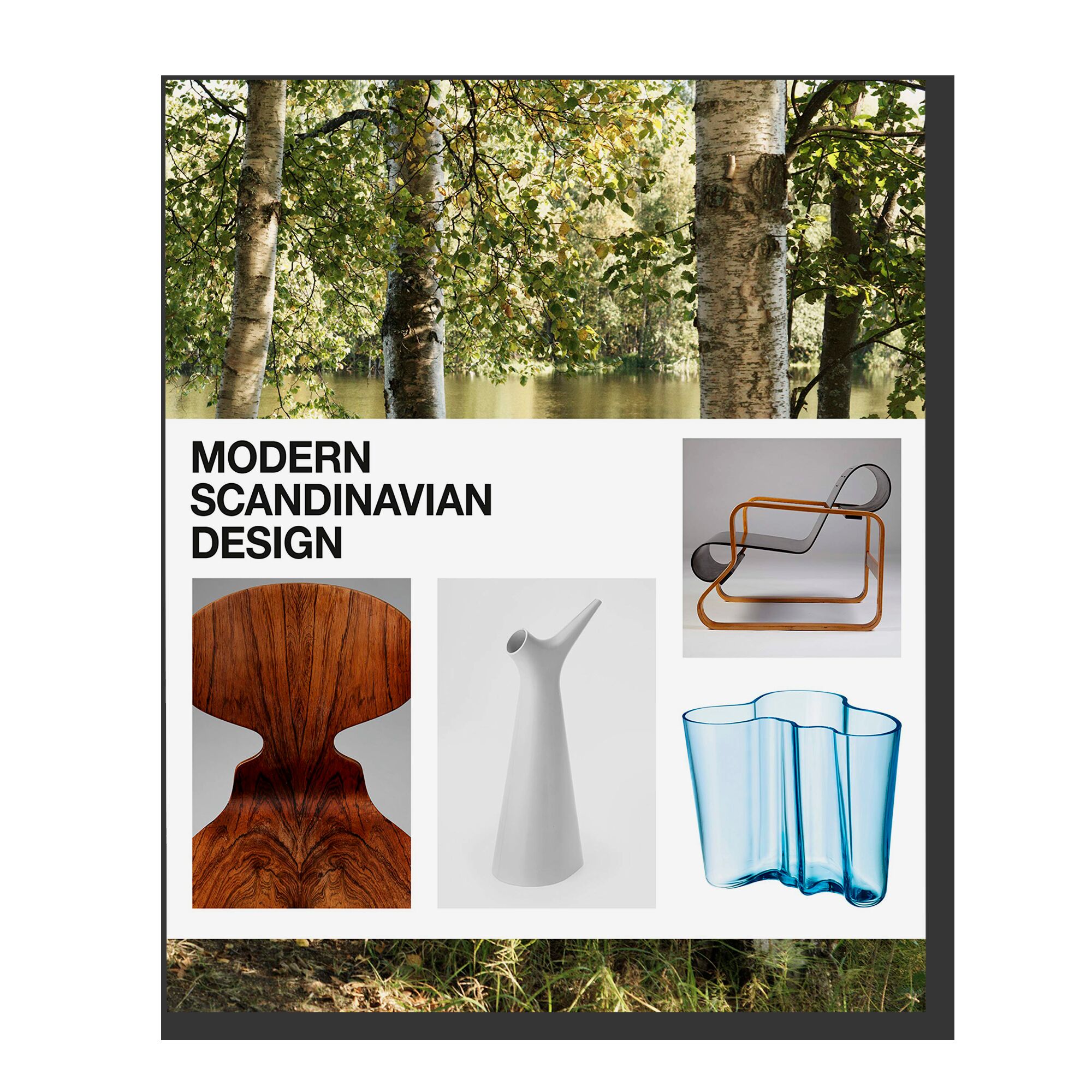 Modern Scandinavian Design