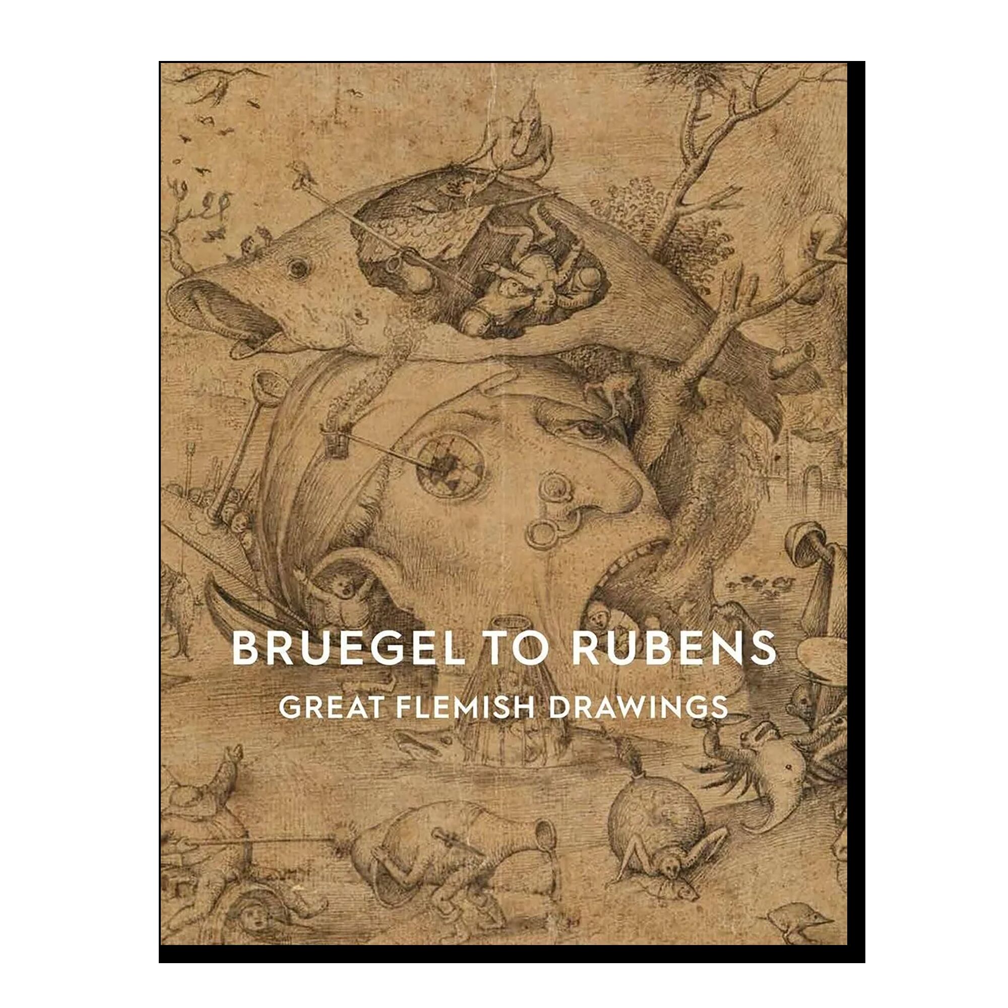 Bruegel to Rubens: Great Flemish Drawings