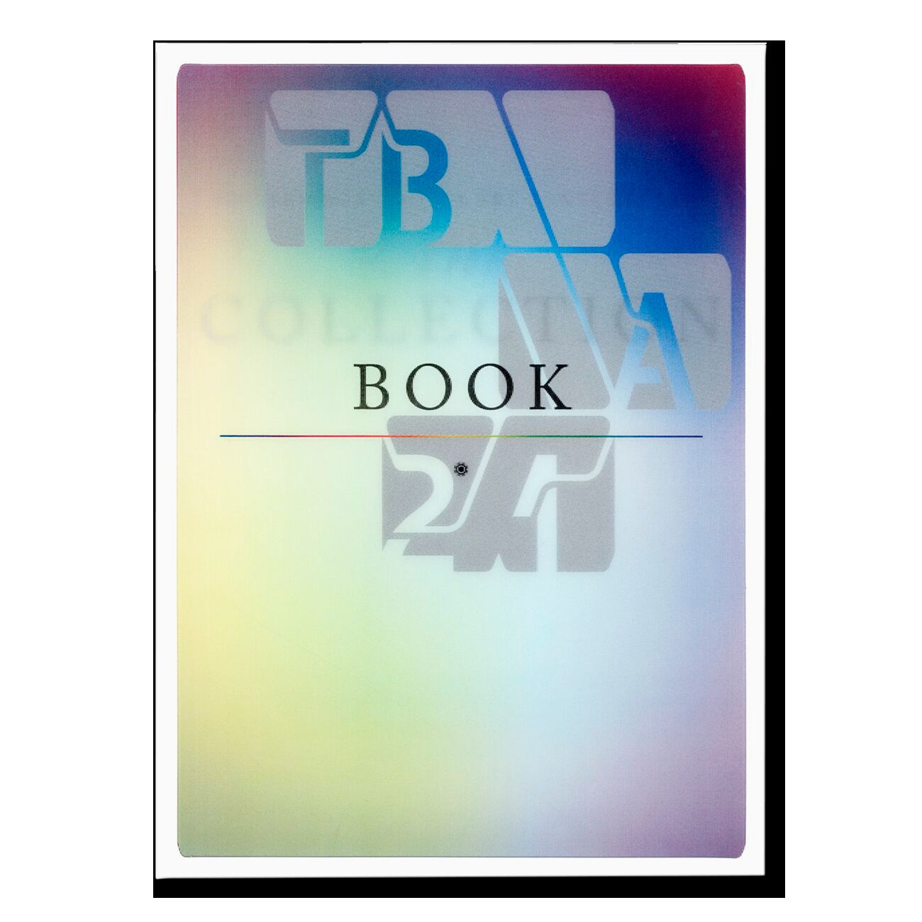 The Collection Book: Thyssen-Bornemisza Art Contemporary