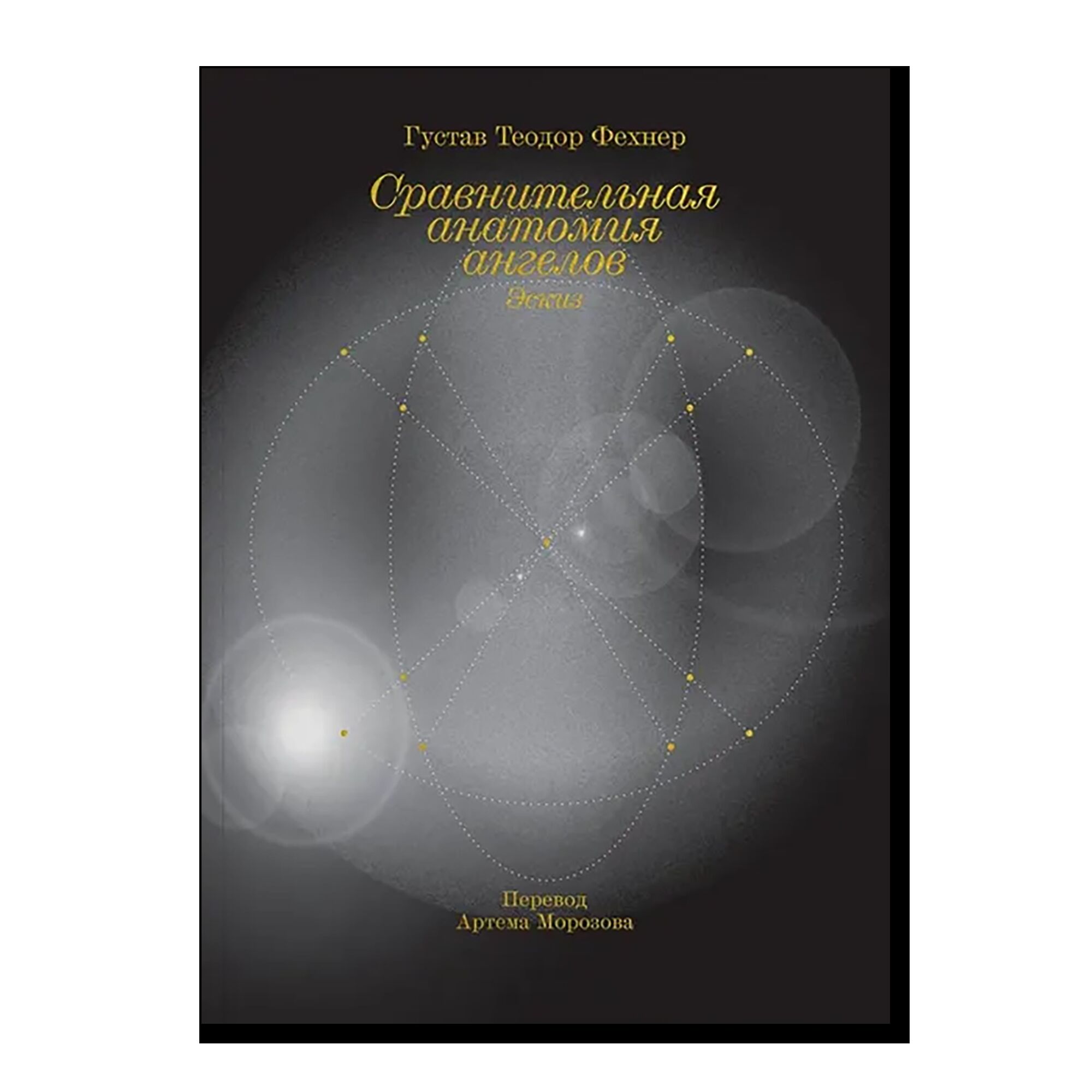 Сравнительная анатомия ангелов