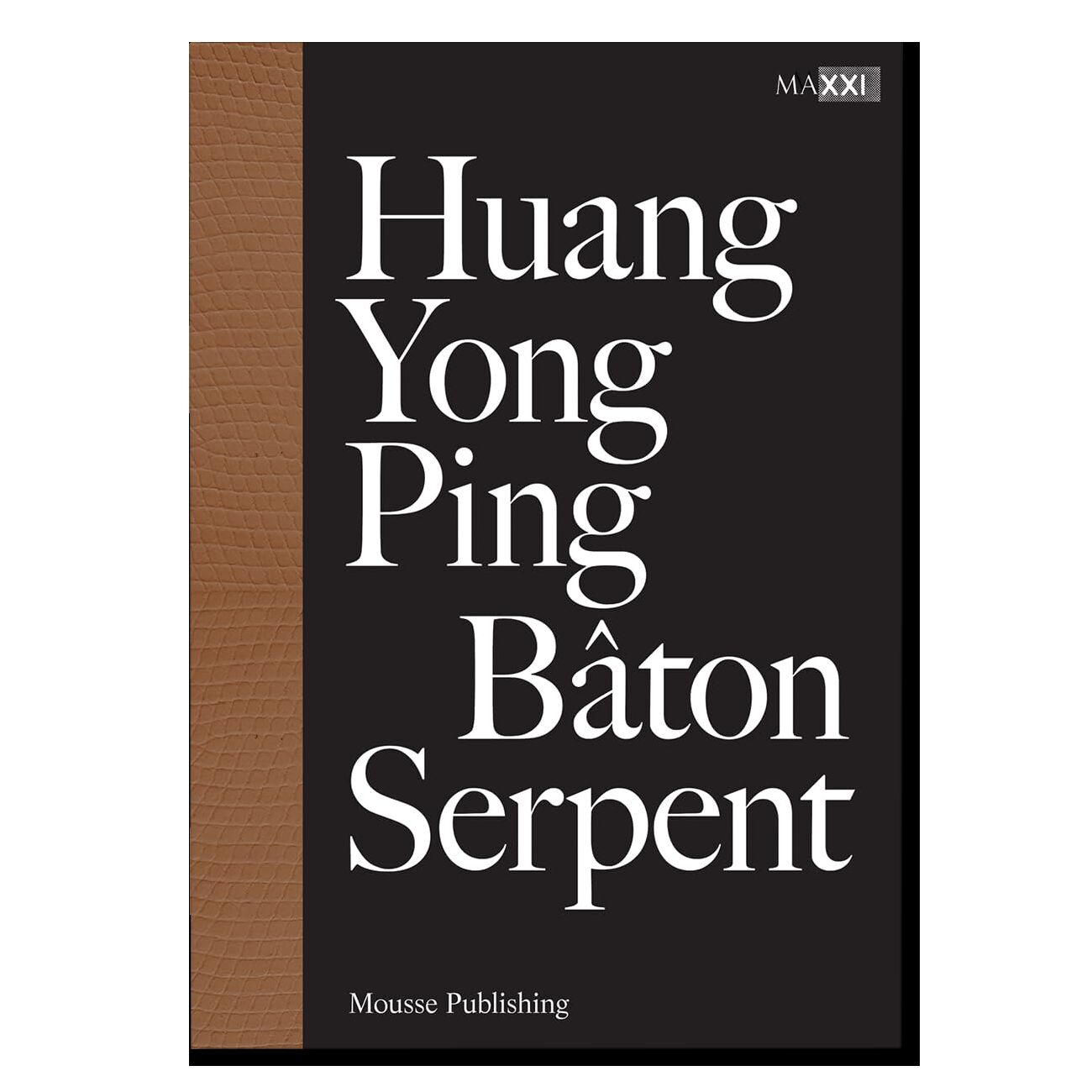 Huang Yong Ping