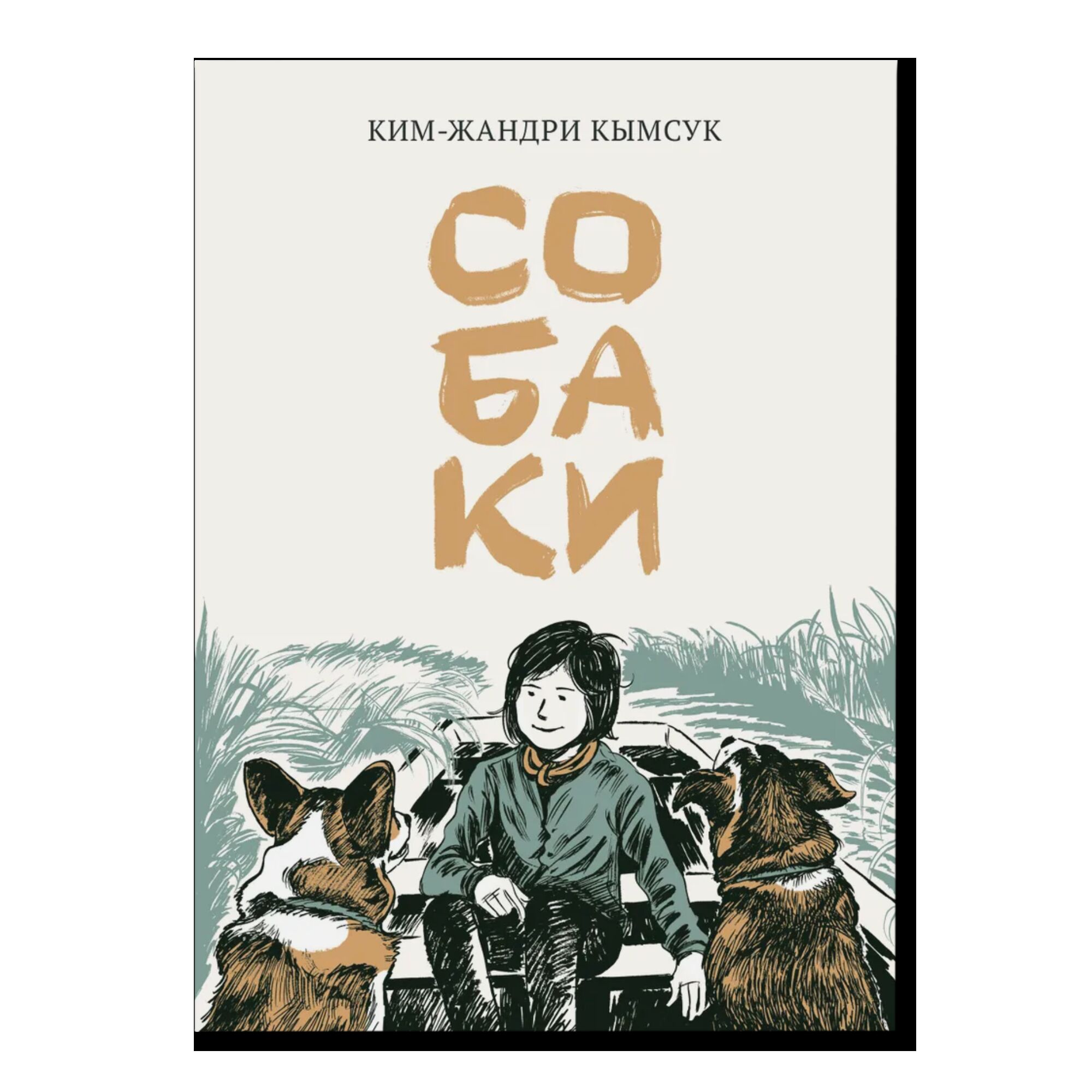 Собаки
