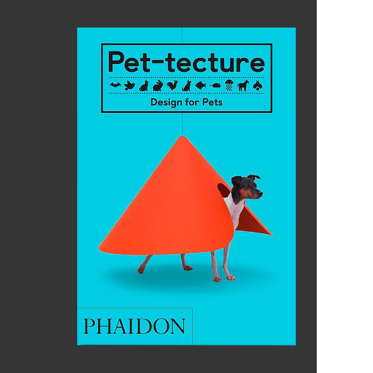 Pet-tecture: Design for Pets