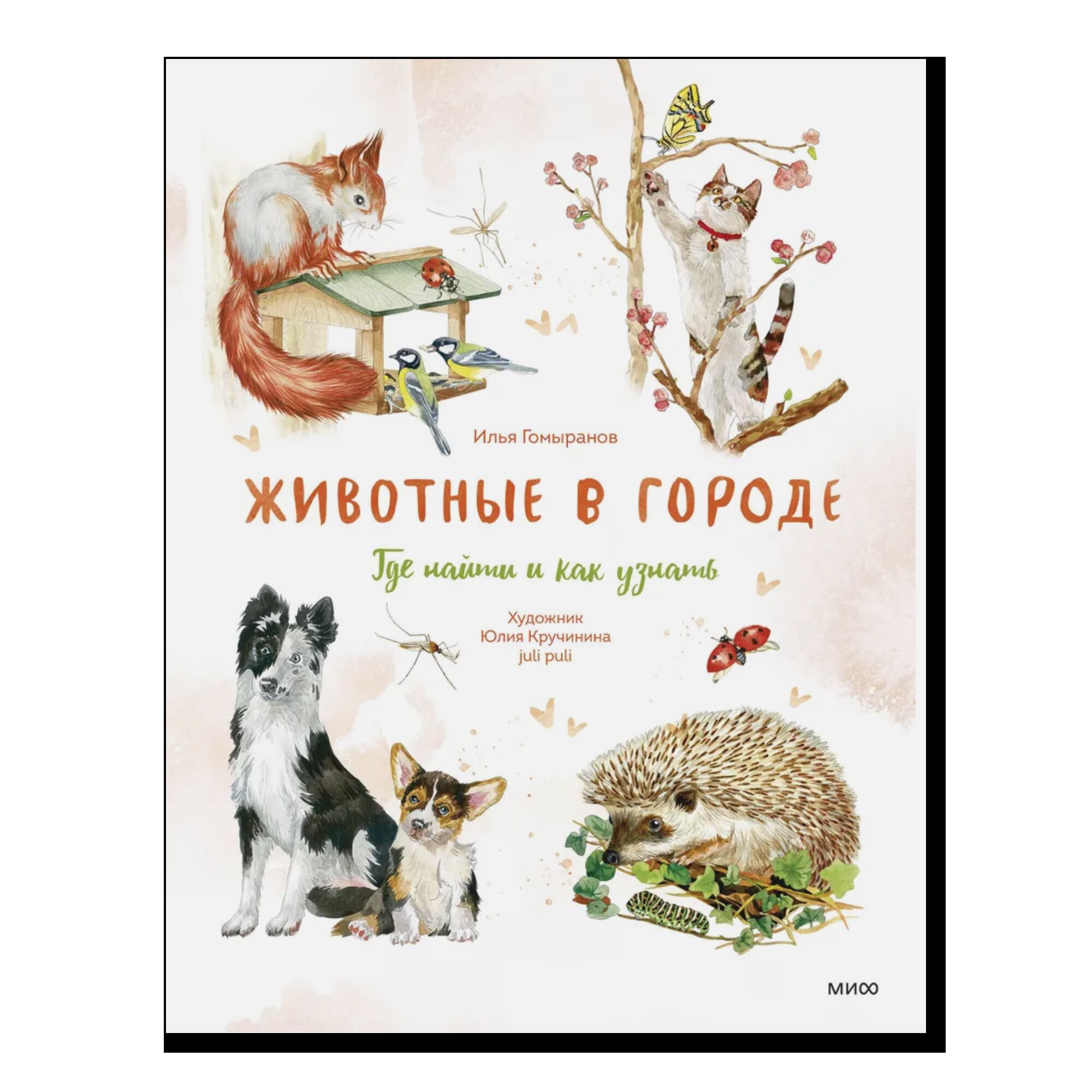 Животные в городе. Где найти и как узнать