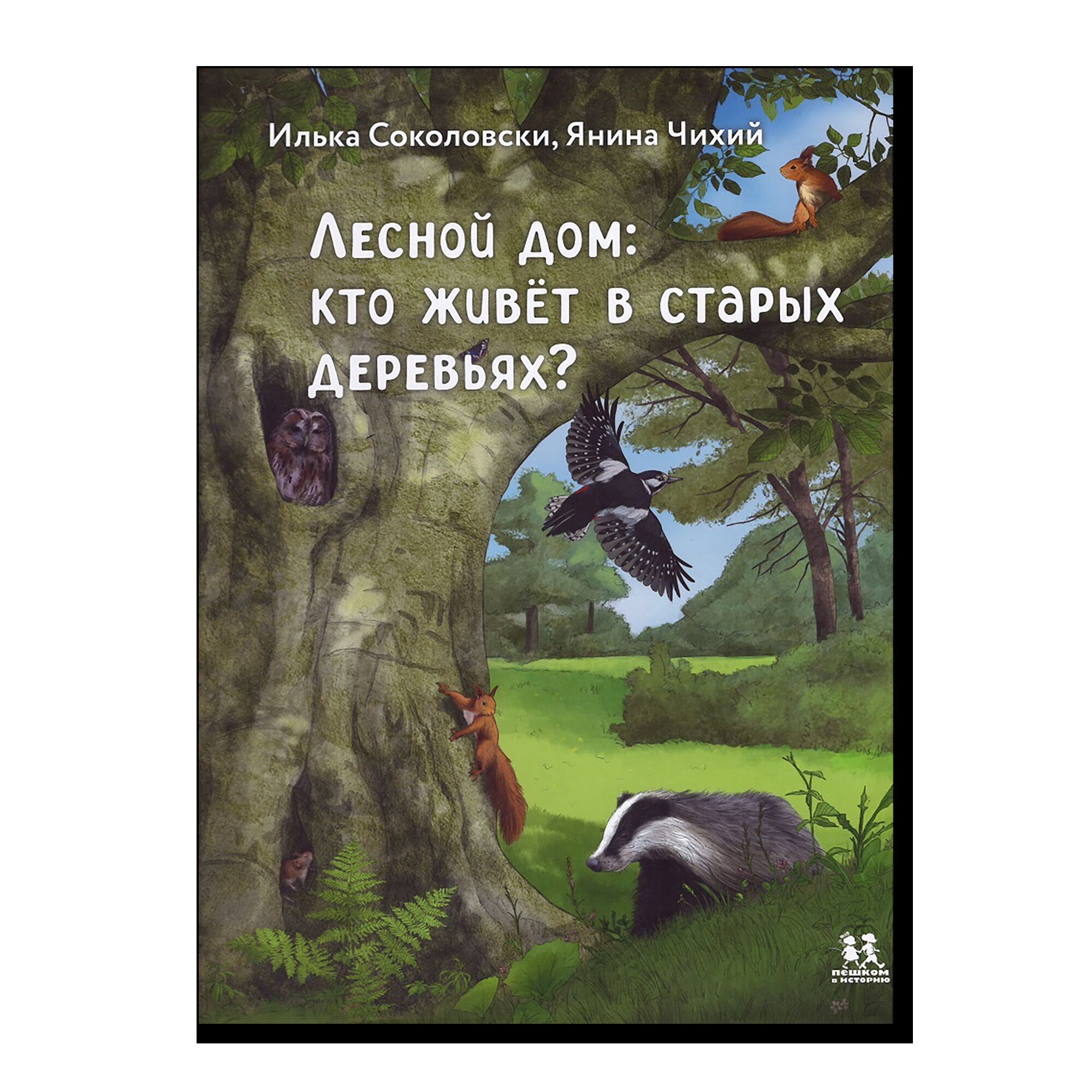 Лесной дом: кто живёт в старых деревьях?