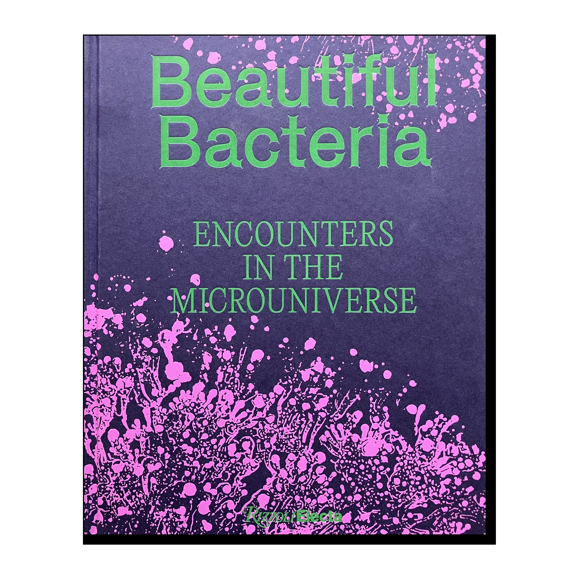 Beautiful Bacteria: Encounters in the Microuniverse