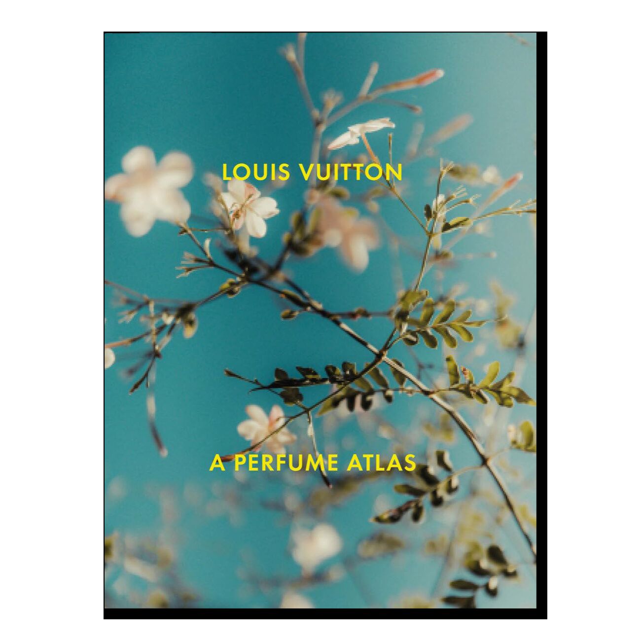 Louis Vuitton: A Perfume Atlas