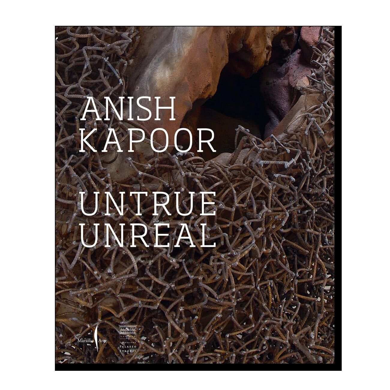 Anish Kapoor: Untrue Unreal