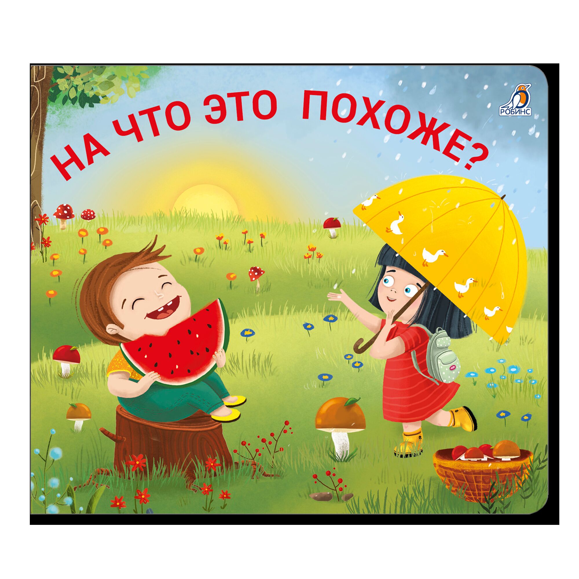 Книжки - задвижки. На что это похоже? 