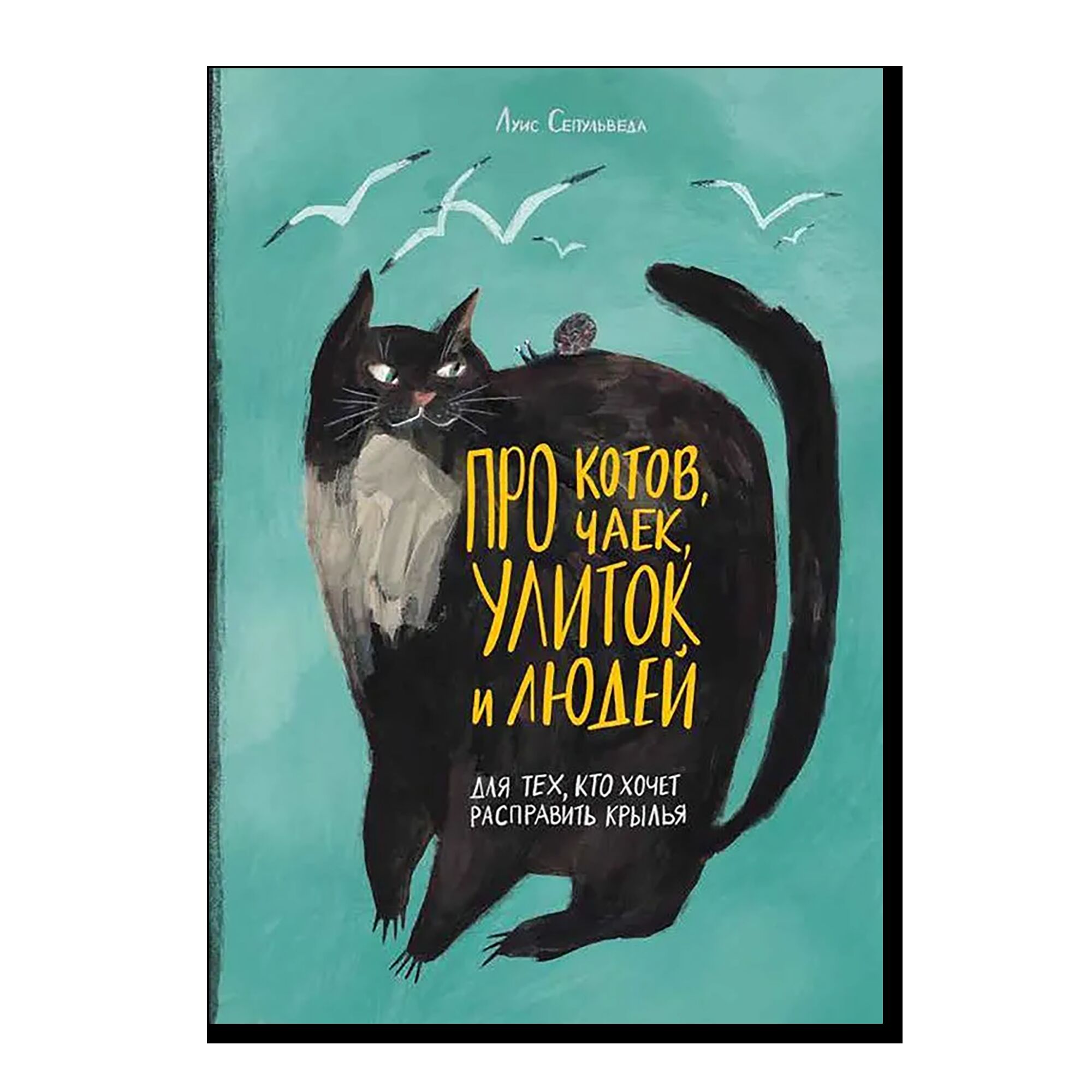 Про котов, чаек, улиток и людей