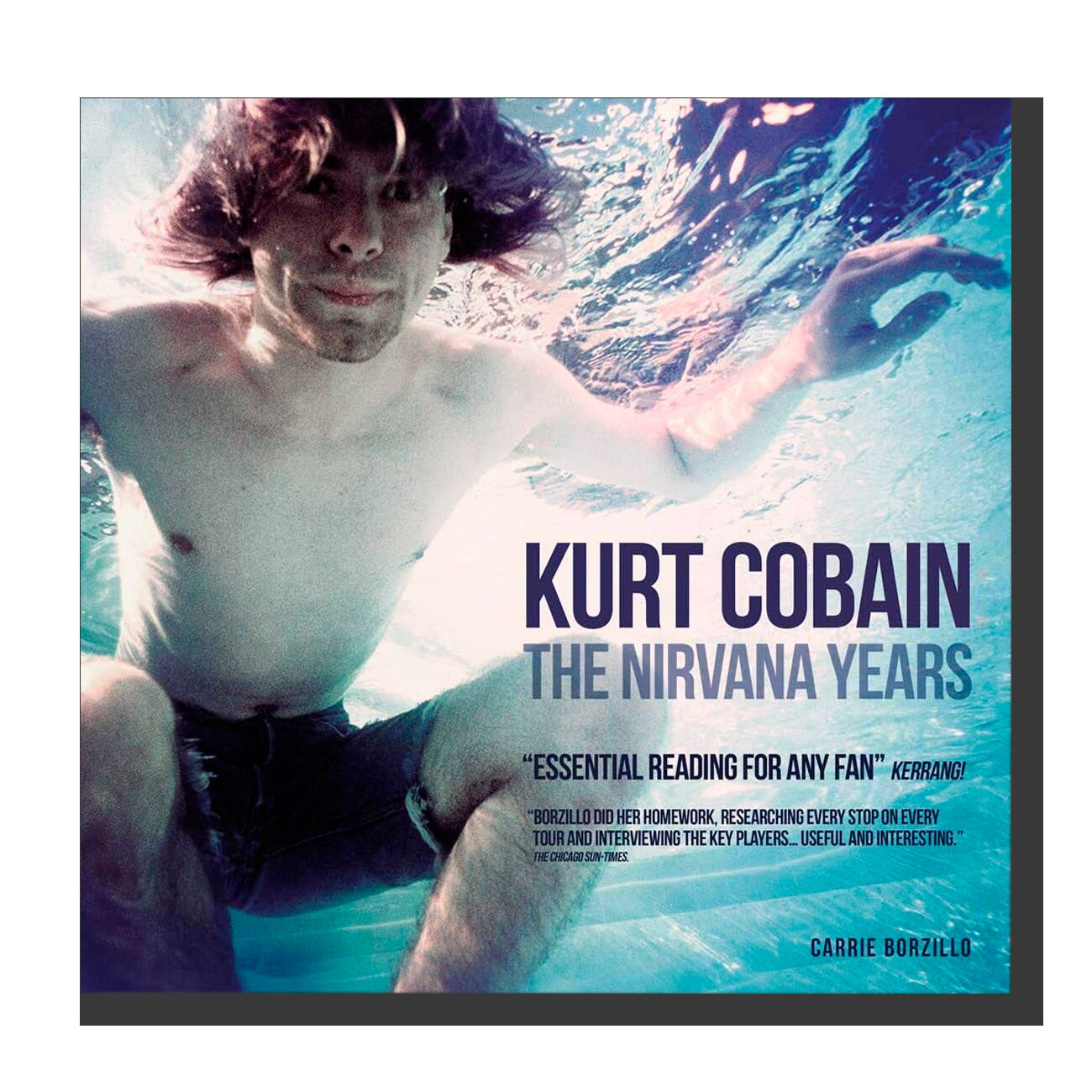 Kurt Cobain: The Nirvana Years