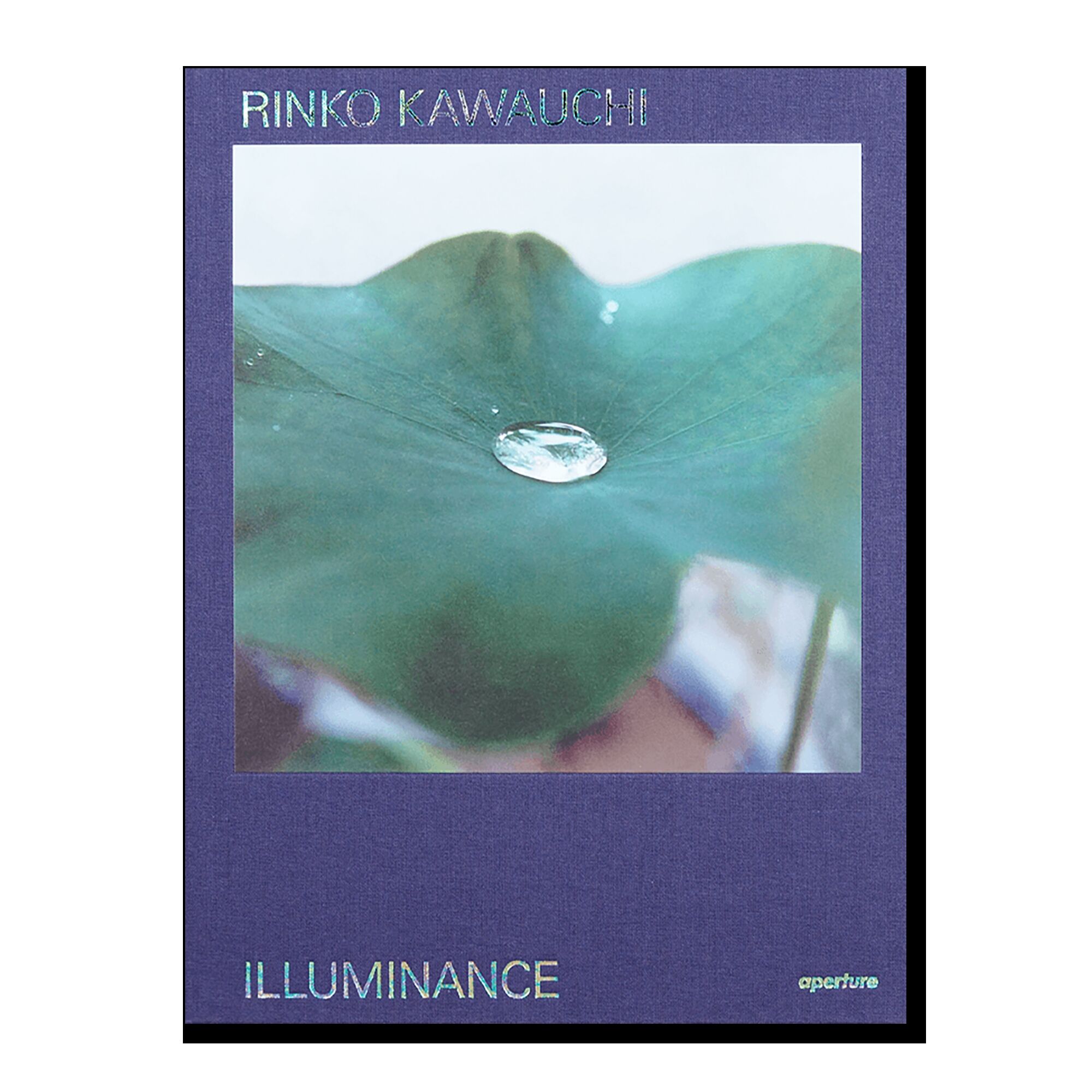 Rinko Kawauchi: Illuminance