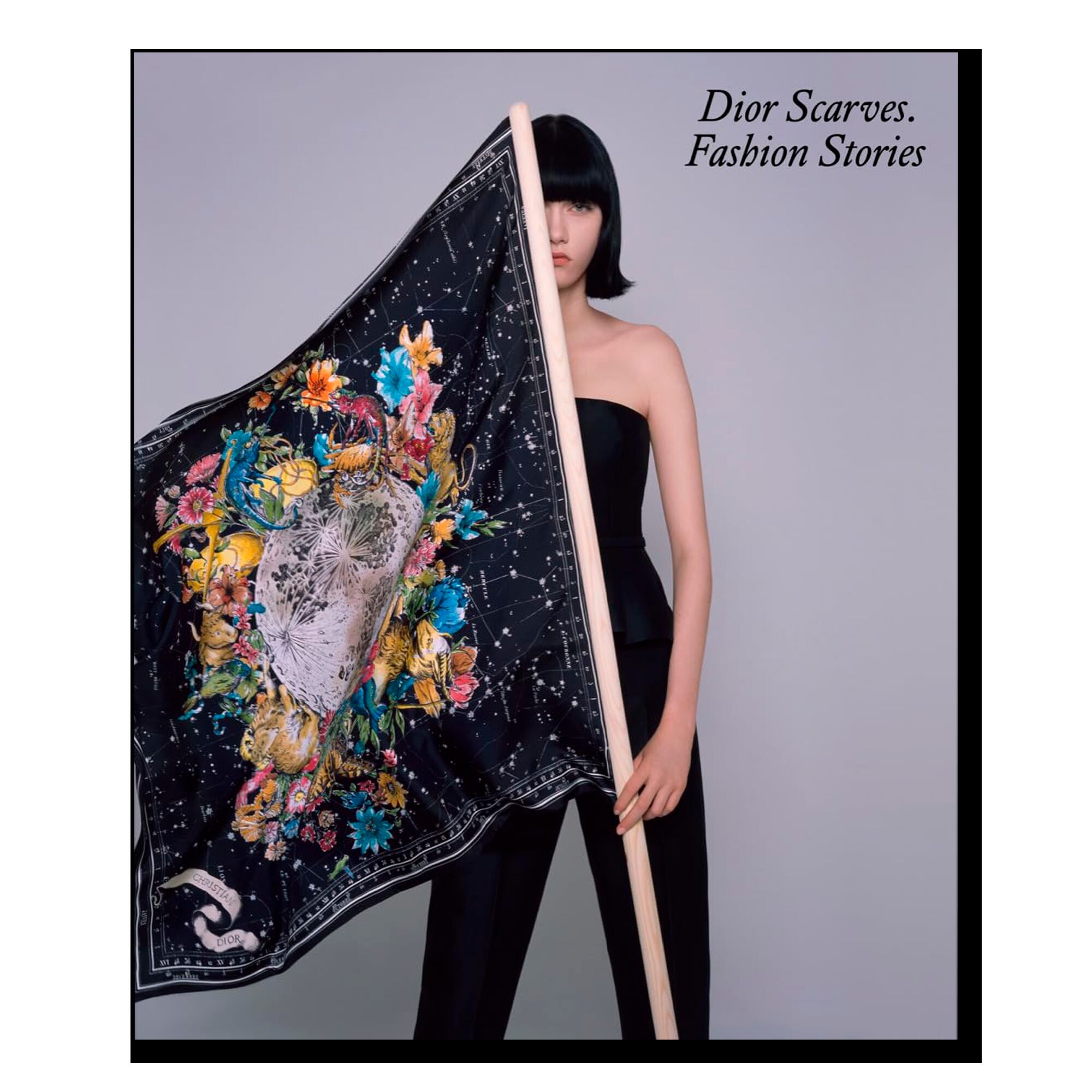 Dior Scarves: Fashion Stories