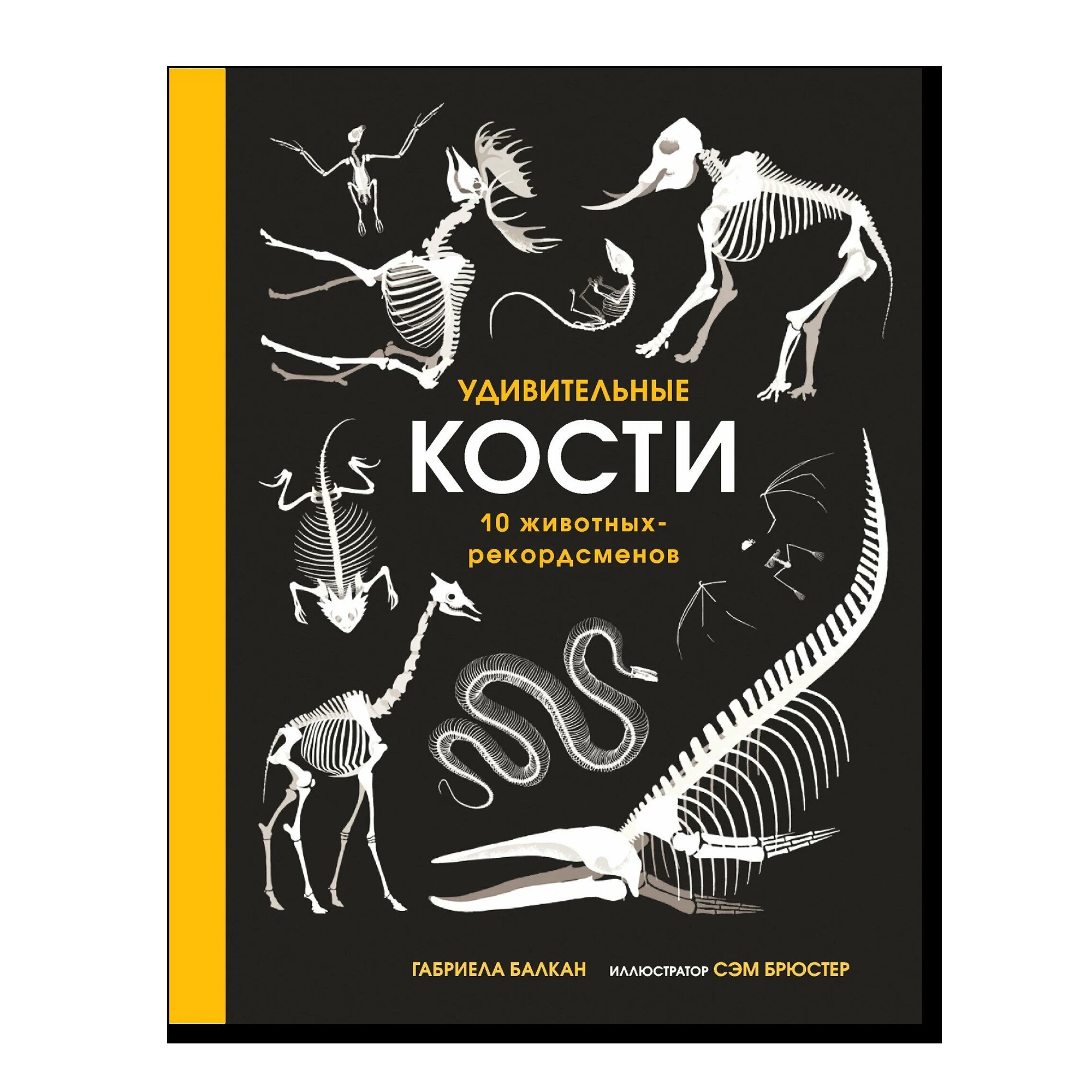 Удивительные кости