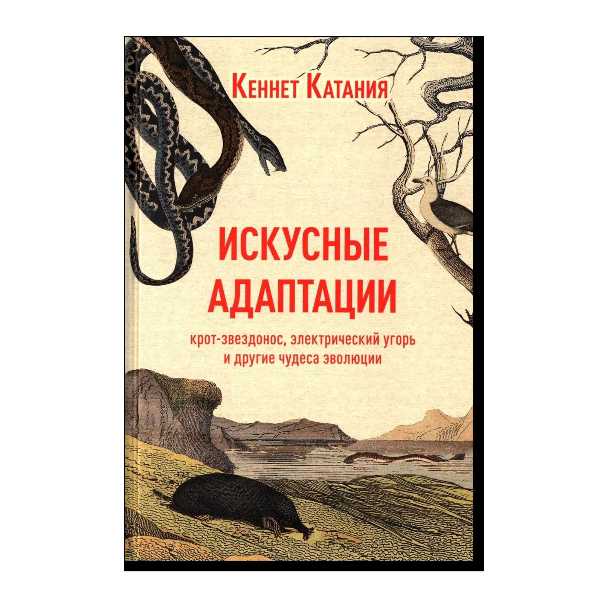 Искусные адаптации. Крот-звездонос, электрический угорь и другие чудеса эволюции