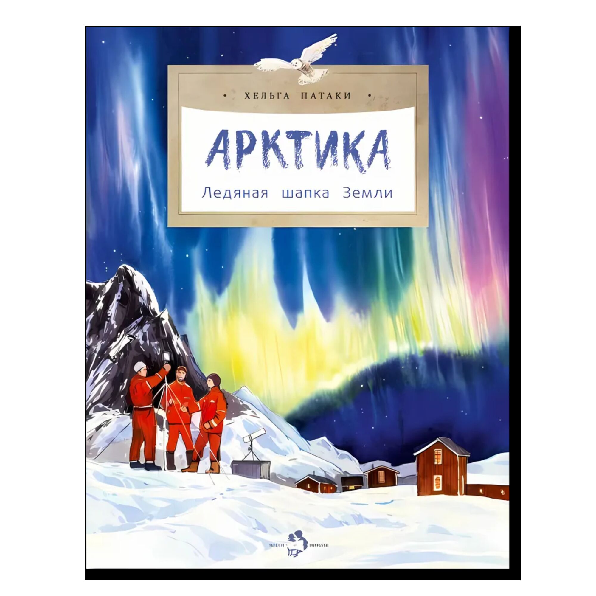 Арктика. Ледяная шапка Земли