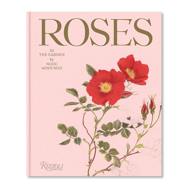 Roses in the Garden | Photography | buy books in Garage Shop