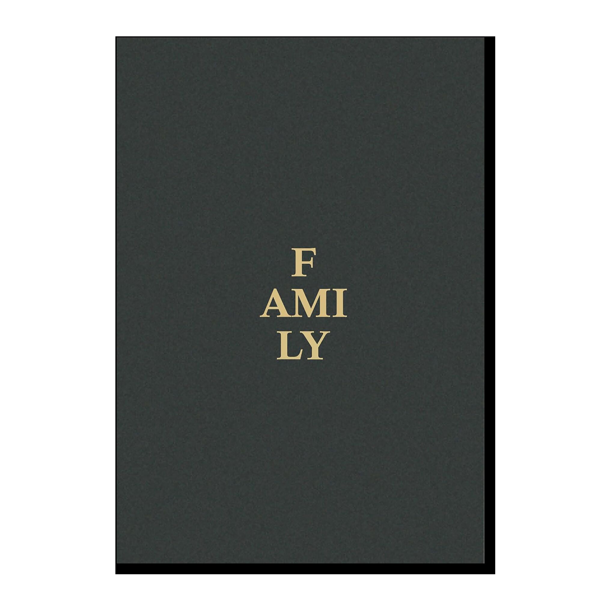 Family: A Contemporary Portrait by Magnum Photos and Guest Artists