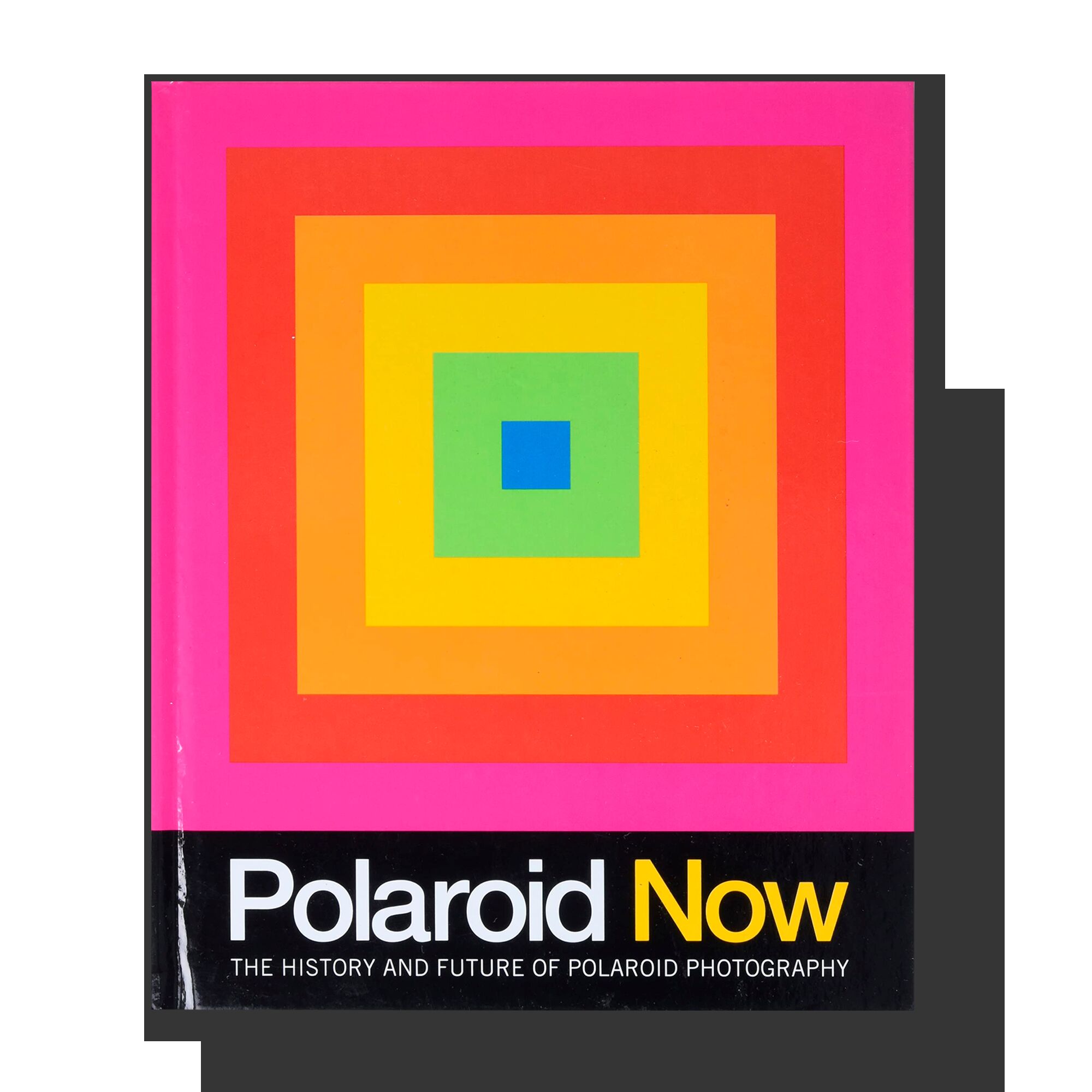 Polaroid Now: The History and Future of Polaroid Photography