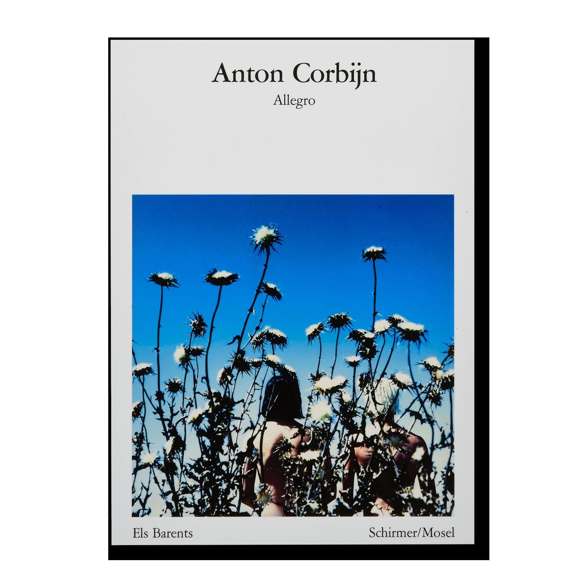 Anton Corbijn. Allegro