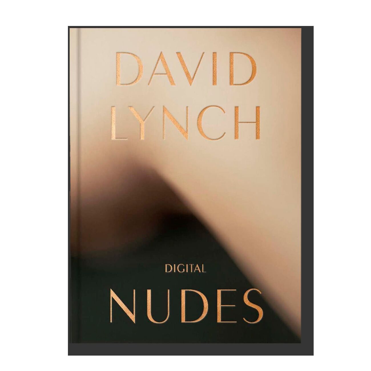 David Lynch, Digital Nudes