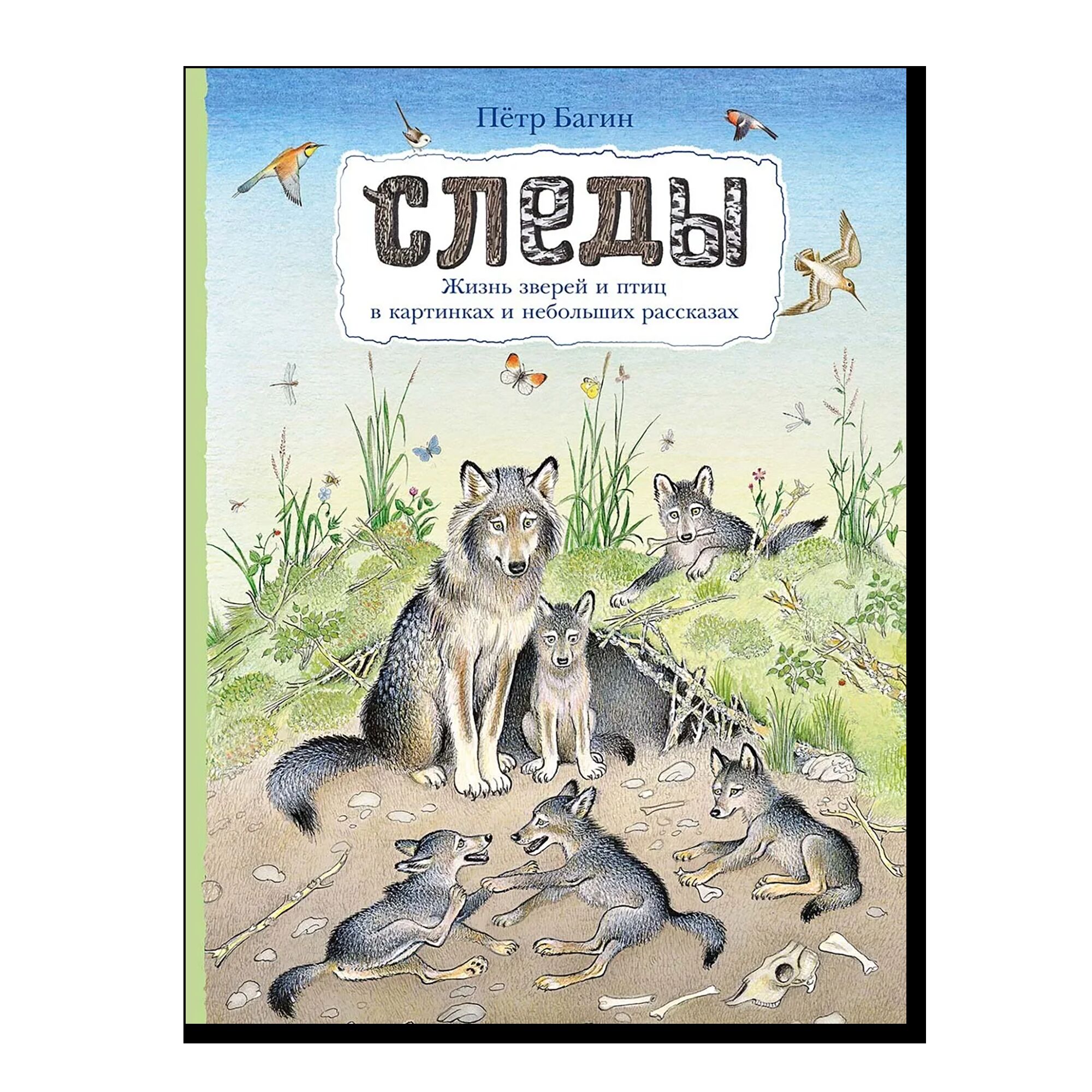 Следы