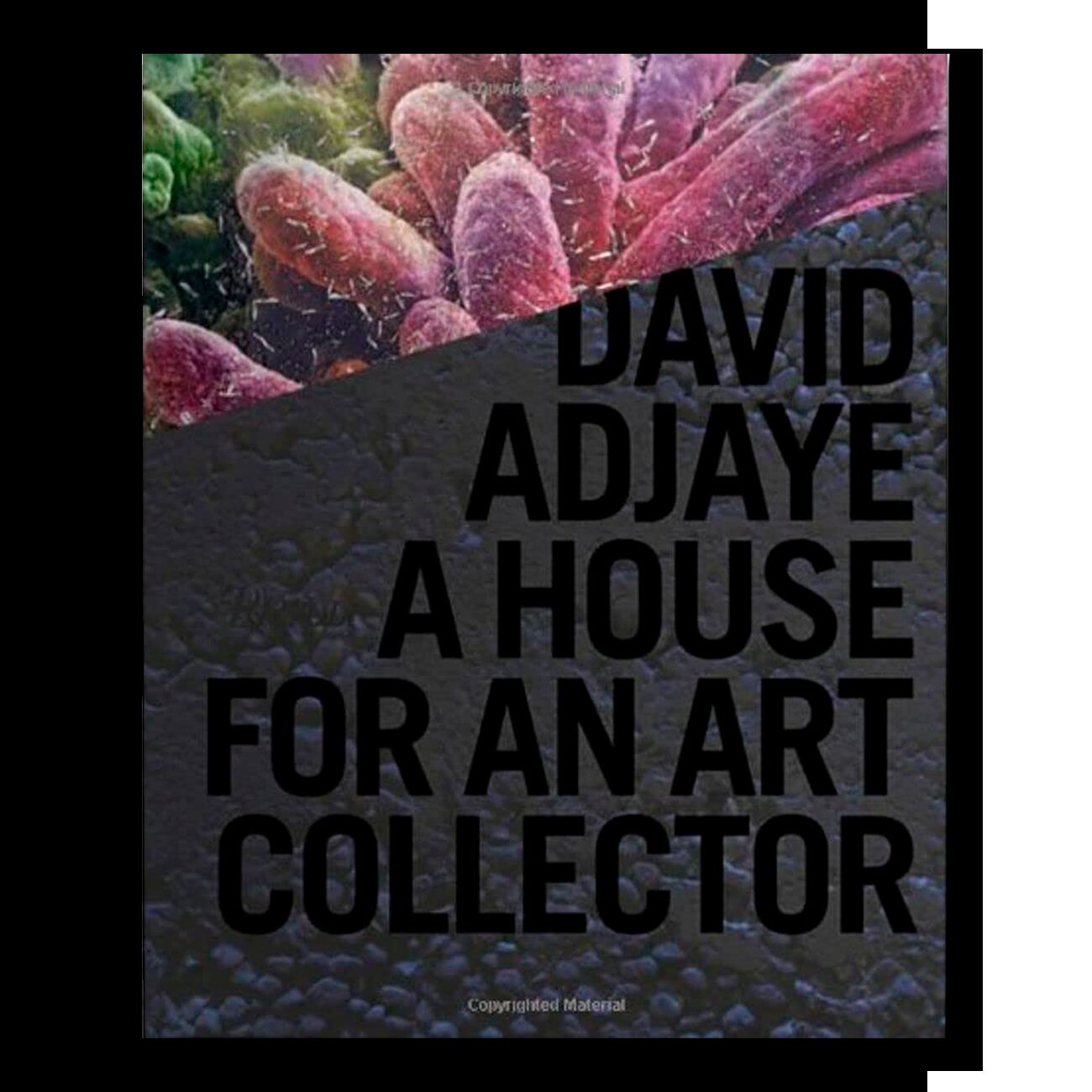 David Adjaye: A House for a Collector