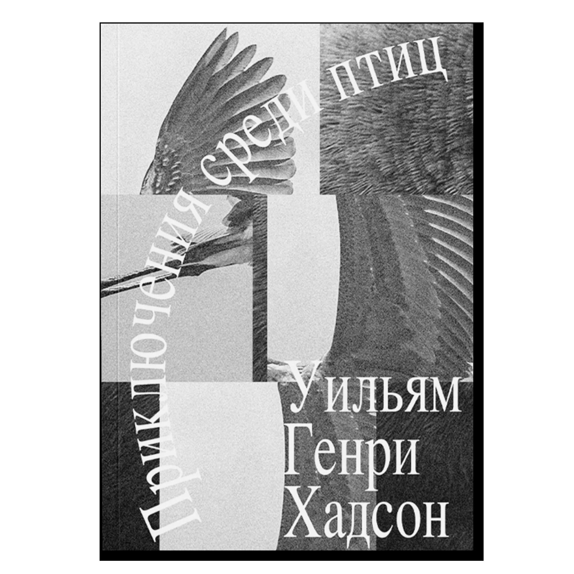 Приключение среди птиц